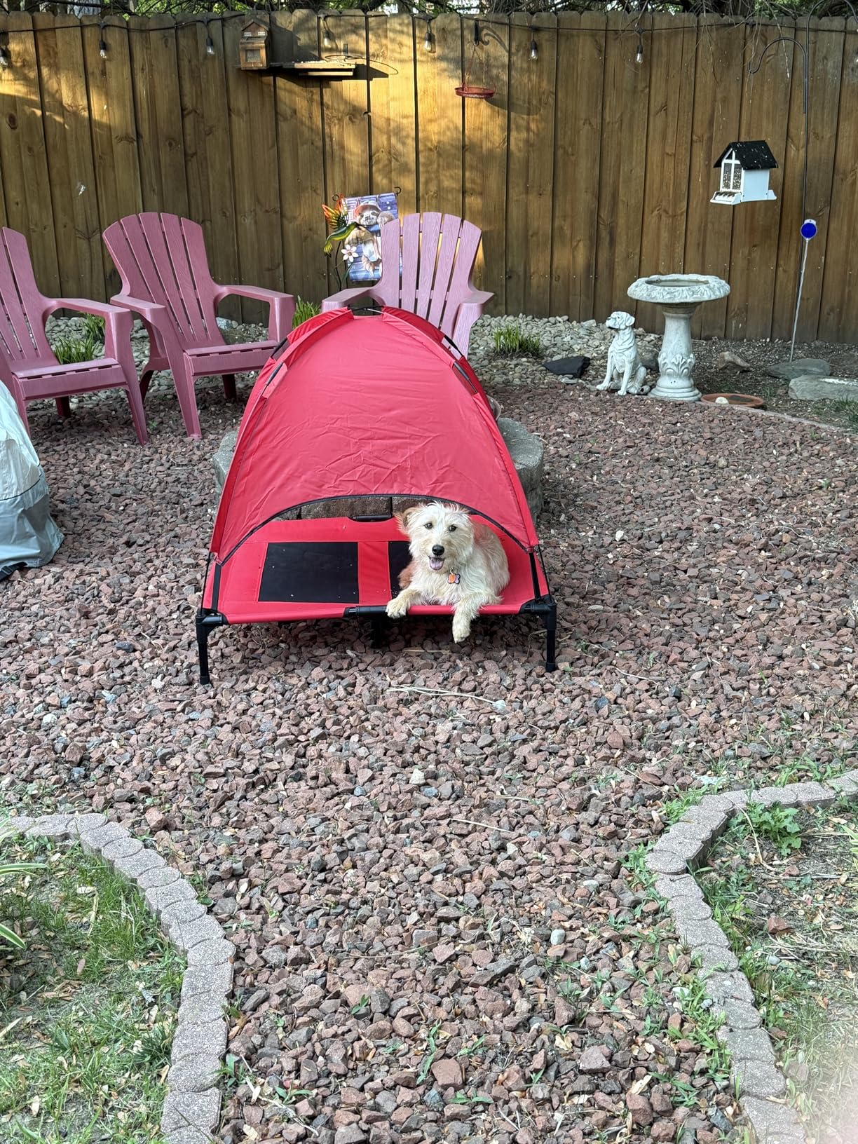 Best Choice Products 30in Elevated Cooling Dog Bed, Outdoor Raised Mesh Pet Cot w/Removable Canopy Shade Tent, Carrying Bag, Breathable Fabric - Red customer photo 1