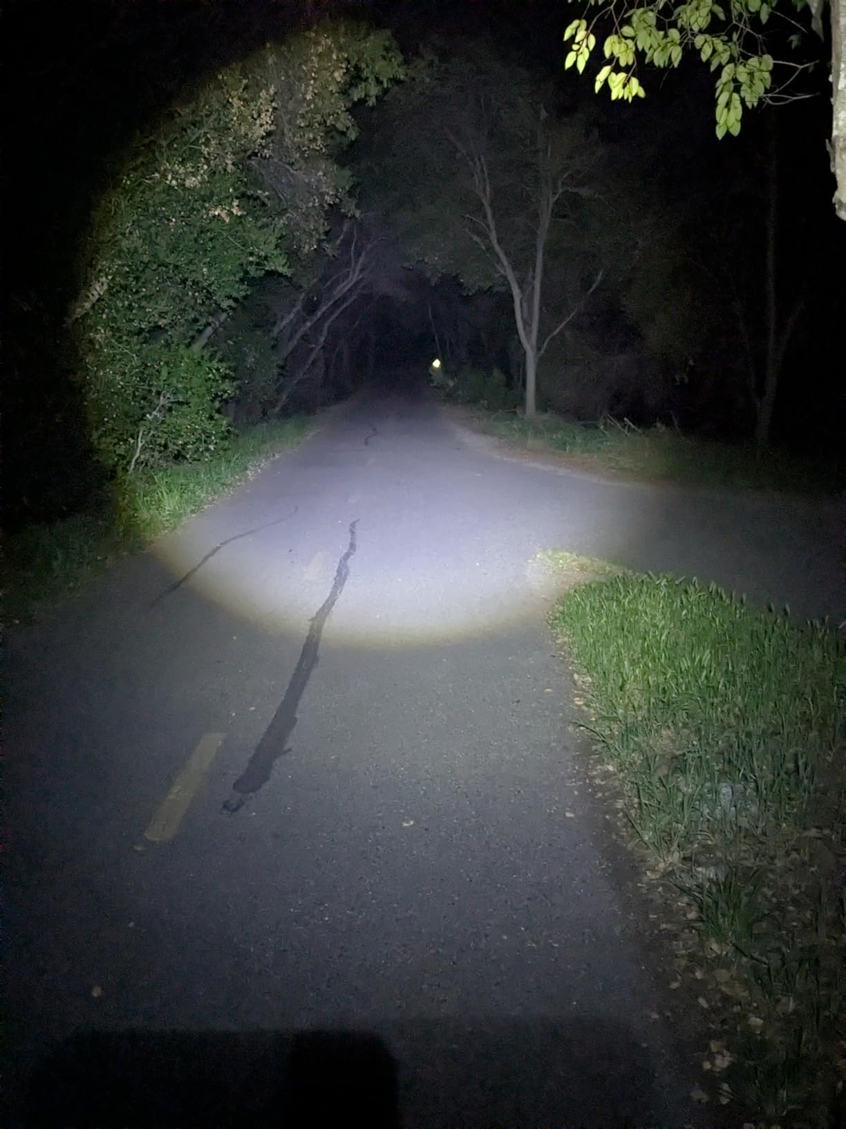 DanForce Camouflaged Headlamp Ultra Bright USB Rechargeable Head lamp. Tactical Head Flashlight Designed Especially for Hunting & Fishing. LED Headlamps LUMINUS 1080 Lumens Headlight with Red Light customer photo 2