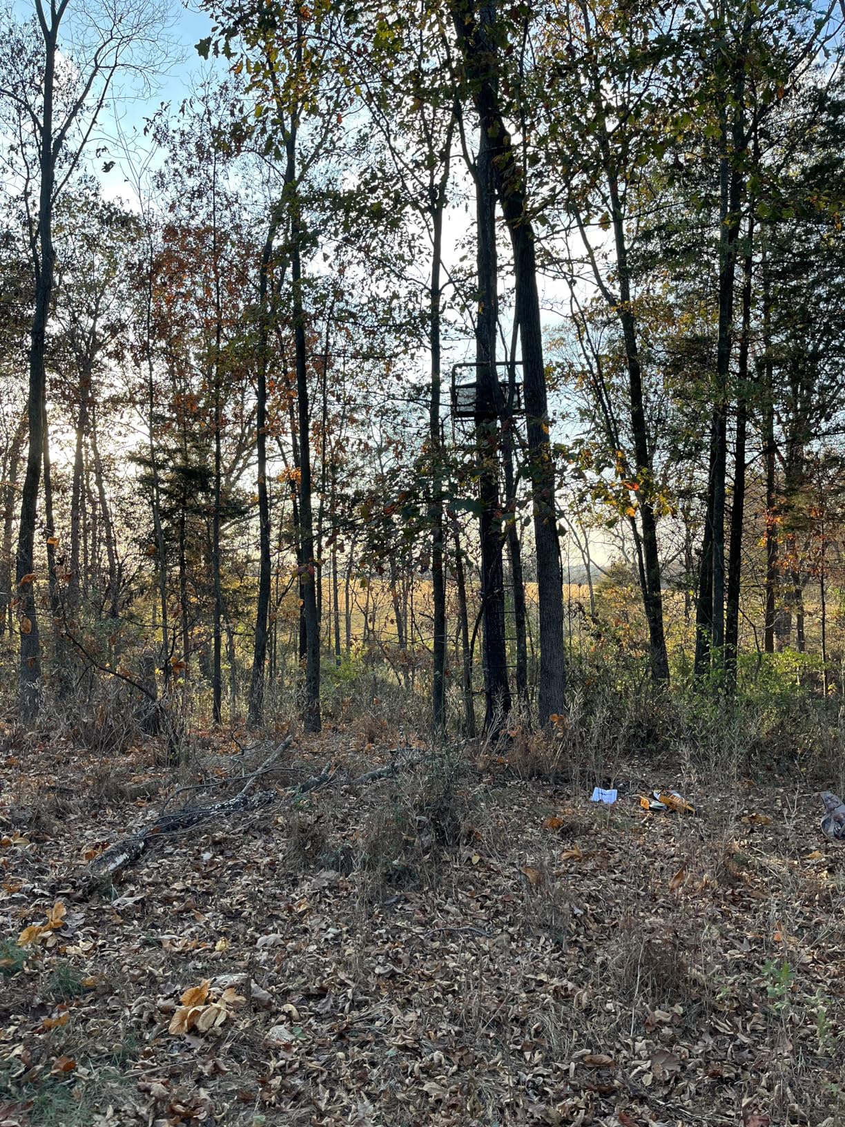 Big Game Striker XL Ladder Treestand 17.5 Foot Tall with Flip Back Seat, Padded Armrests, Deep Foot Platform, Ideal for Hunting and Shooting, Black customer photo 2