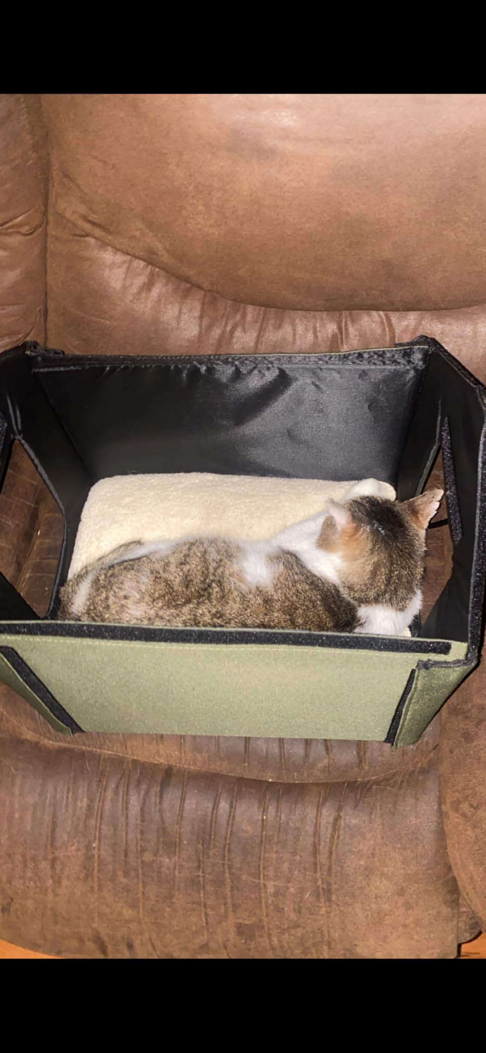 K&H Pet Products Heated Outdoor Cat House for Outside Pets in Winter, Weatherproof Outdoor House for Ferals, Insulated Kitty Shelter, 2 Doors, Waterproof Heated Cat Bed, Safety Listed - Olive/Olive customer photo 1