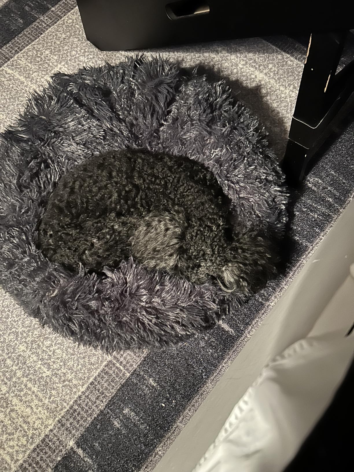MIXJOY Orthopedic Dog Bed Comfortable Donut Cuddler Round Pet Beds Ultra Soft Washable Dog and Cat Cushion (20''/23''/30'') (23'', Brown) customer photo 1