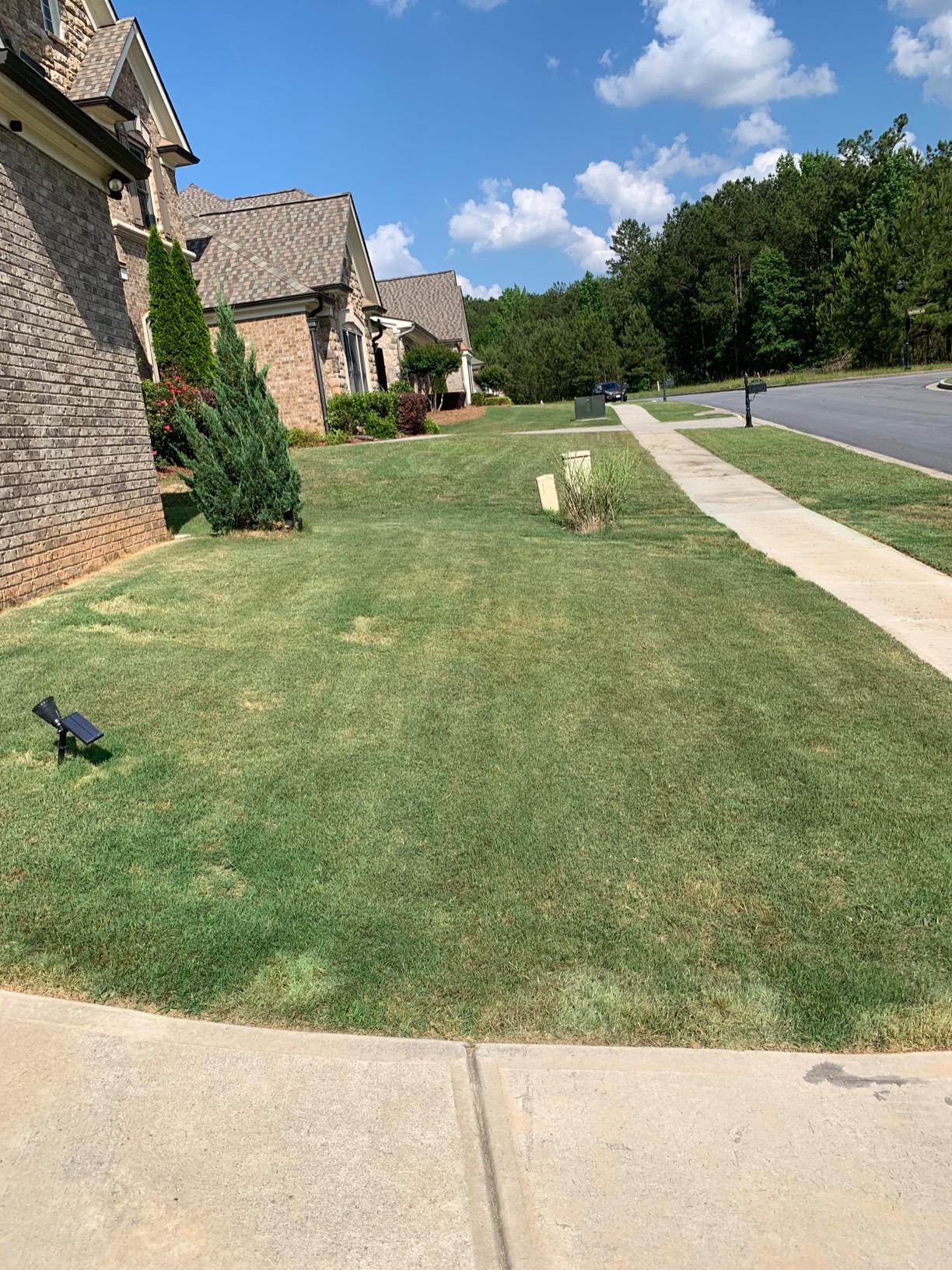 Scotts Outdoor Power Tools ED70012S 11-Amp 3-Position Corded Electric Lawn Edger, Green customer photo 1