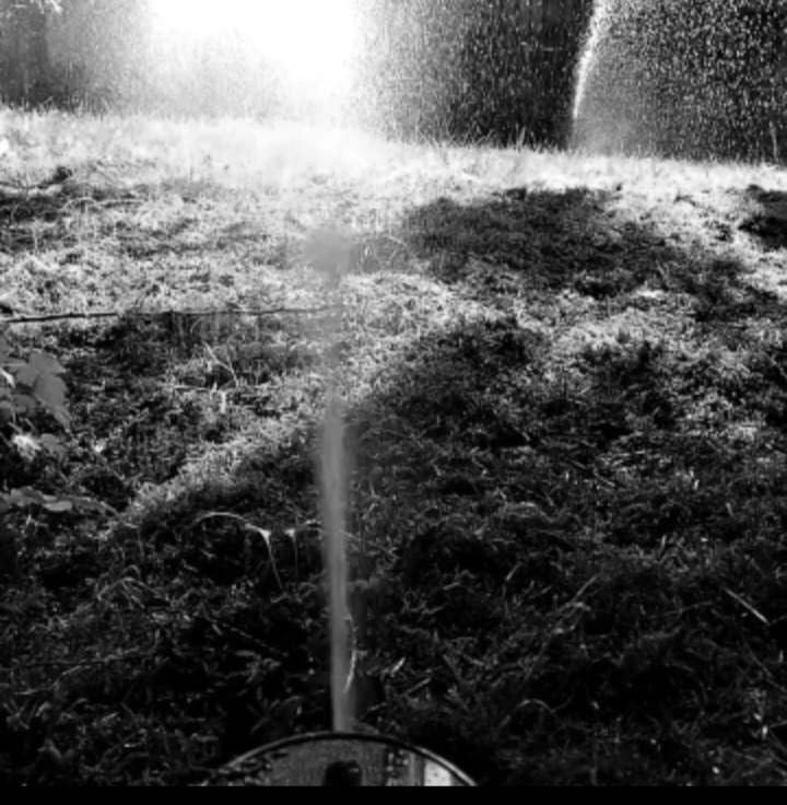 Rain Bird 2045A Maxi-Paw (Including All 7 nozzles - Bundle) customer photo 1