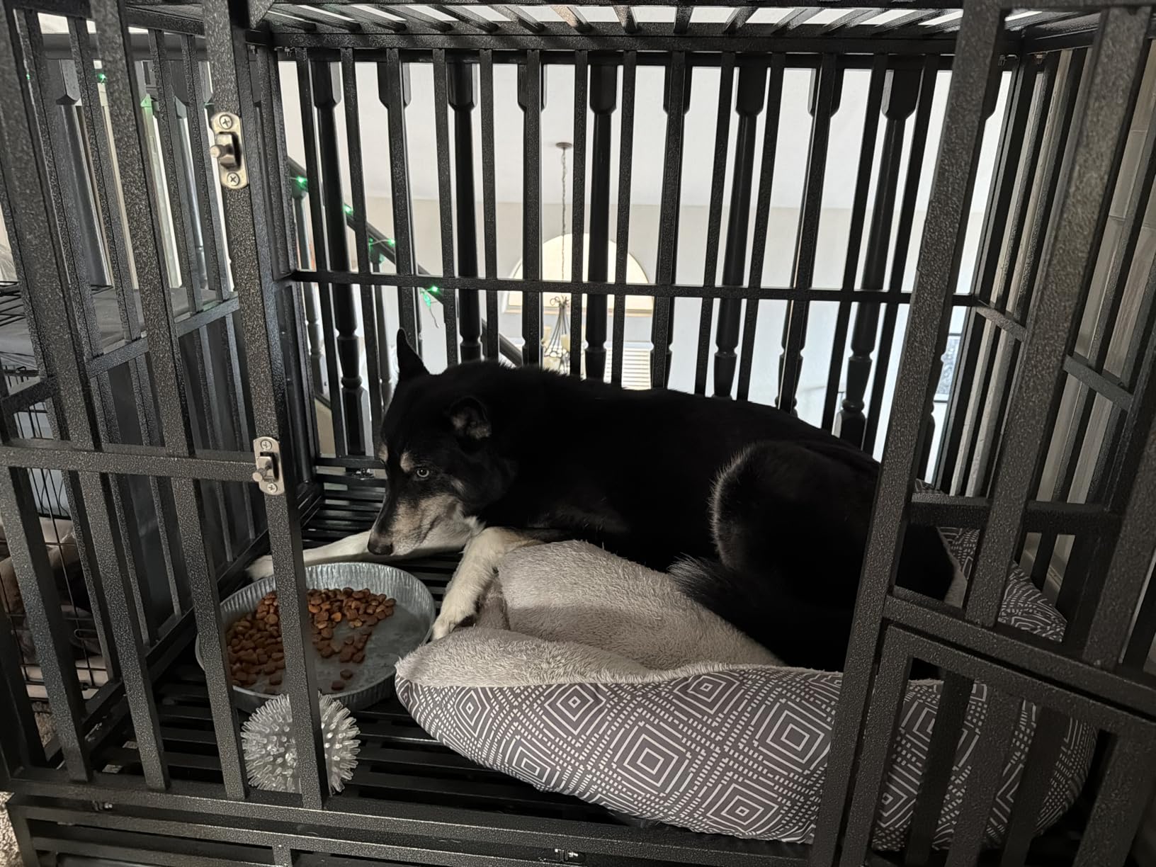 LUCKUP Heavy Duty Dog Cage Metal Kennel and Crate for Medium and Large Dogs, Pet Playpen with Four Wheels, Easy to Install, 46 inch, Black customer photo 1
