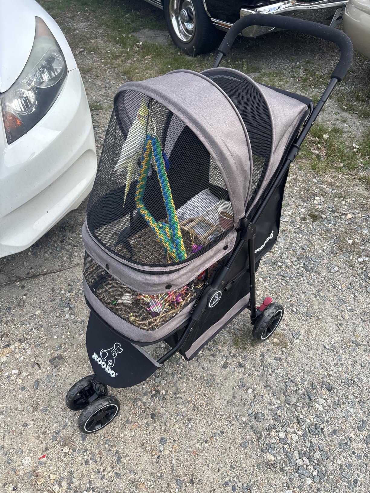 ROODO Escort 3 Wheel Dog Cat Pet Stroller for Small/Medium Dogs Cats Best Lightweight Foldable Portable Compact Jogger All Terrain Travel Pet Gear System, Grey customer photo 2