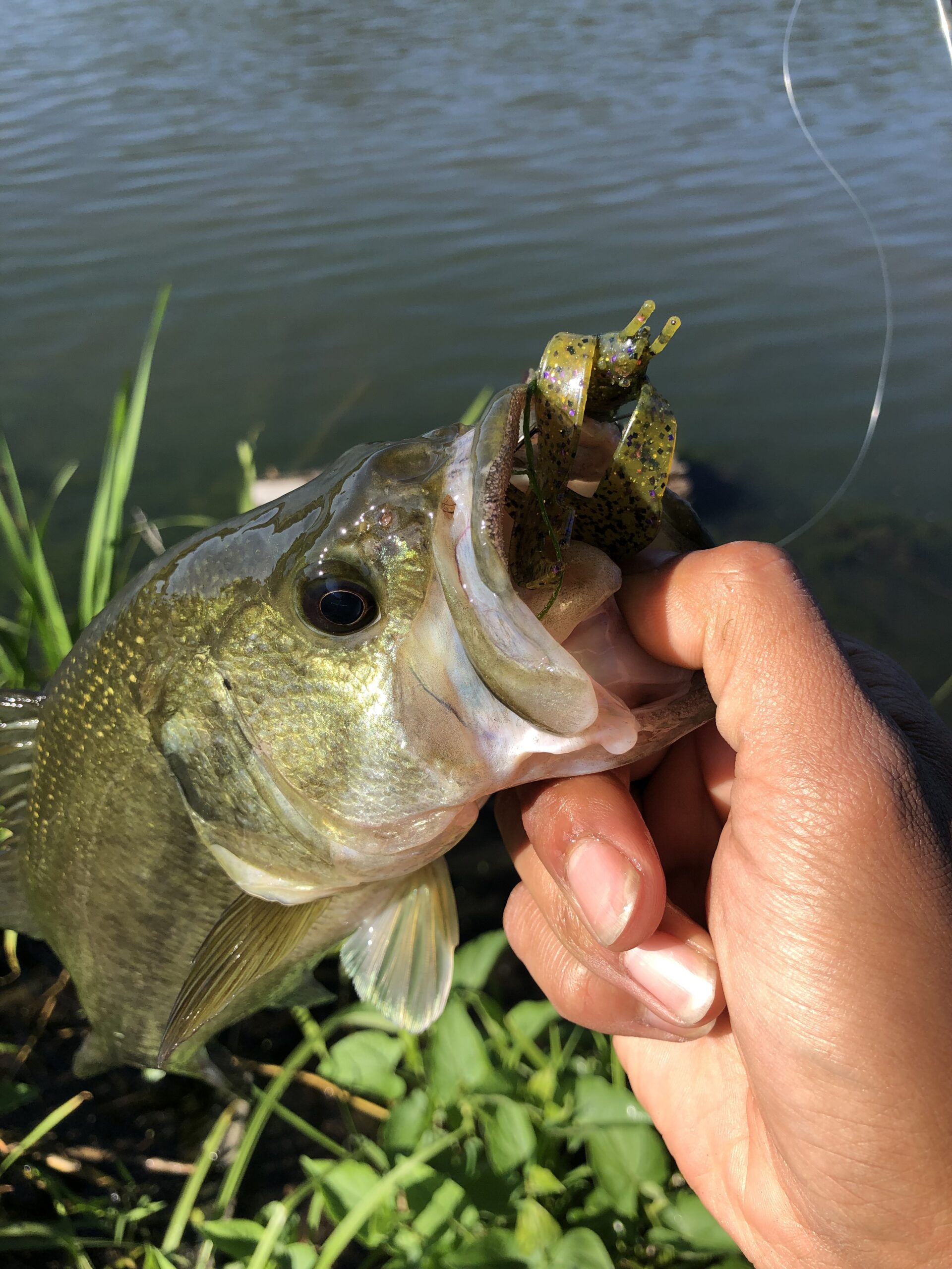 Tsunami Trophy Spinning Surf Rods Series II customer photo 1