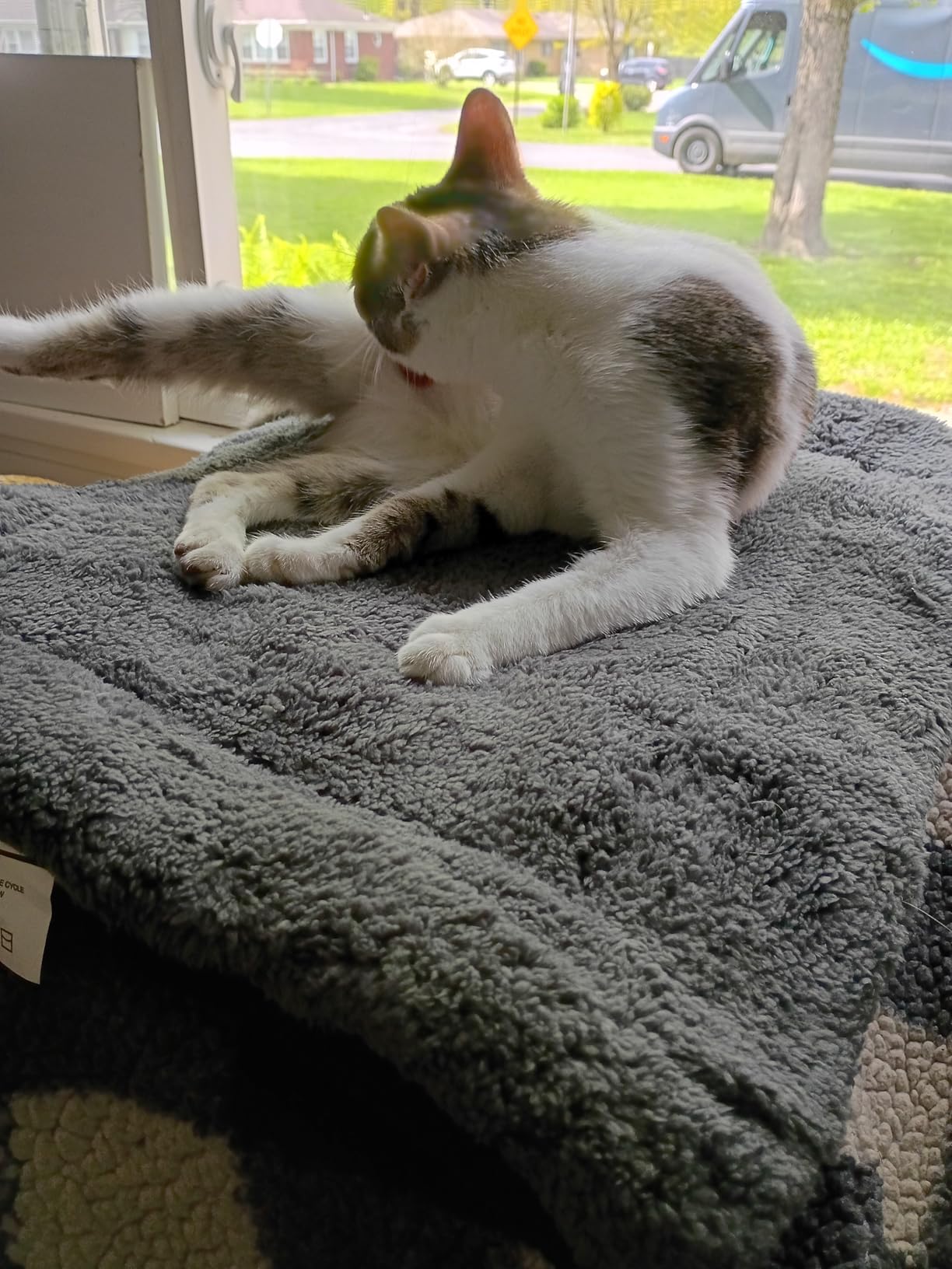 K&H PET PRODUCTS Self-Warming Cat Bed Pad, Self Heating Pad for Outdoor Cat Houses, Warming Mat for Indoor Pet Beds & Furniture, Reversible Blanket, Machine Washable - Small 21 X 17in Gray/Black customer photo 1