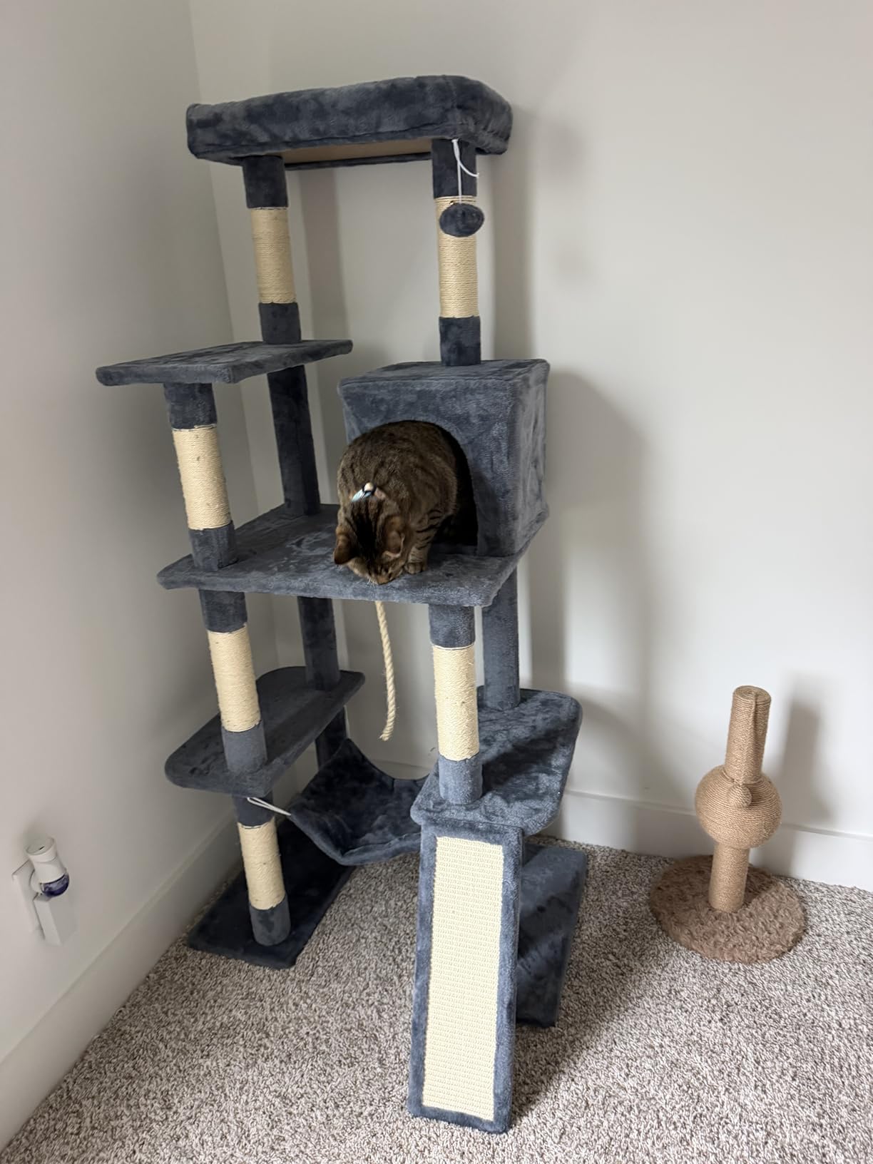 Yaheetech Large Multi-Level Cat Tree, 63 Inches Tall with Sisal-Covered Scratching Posts, Condo, Hammock, Dangling Ball, and Extended Platform for Cats to Play and Sleep customer photo 2