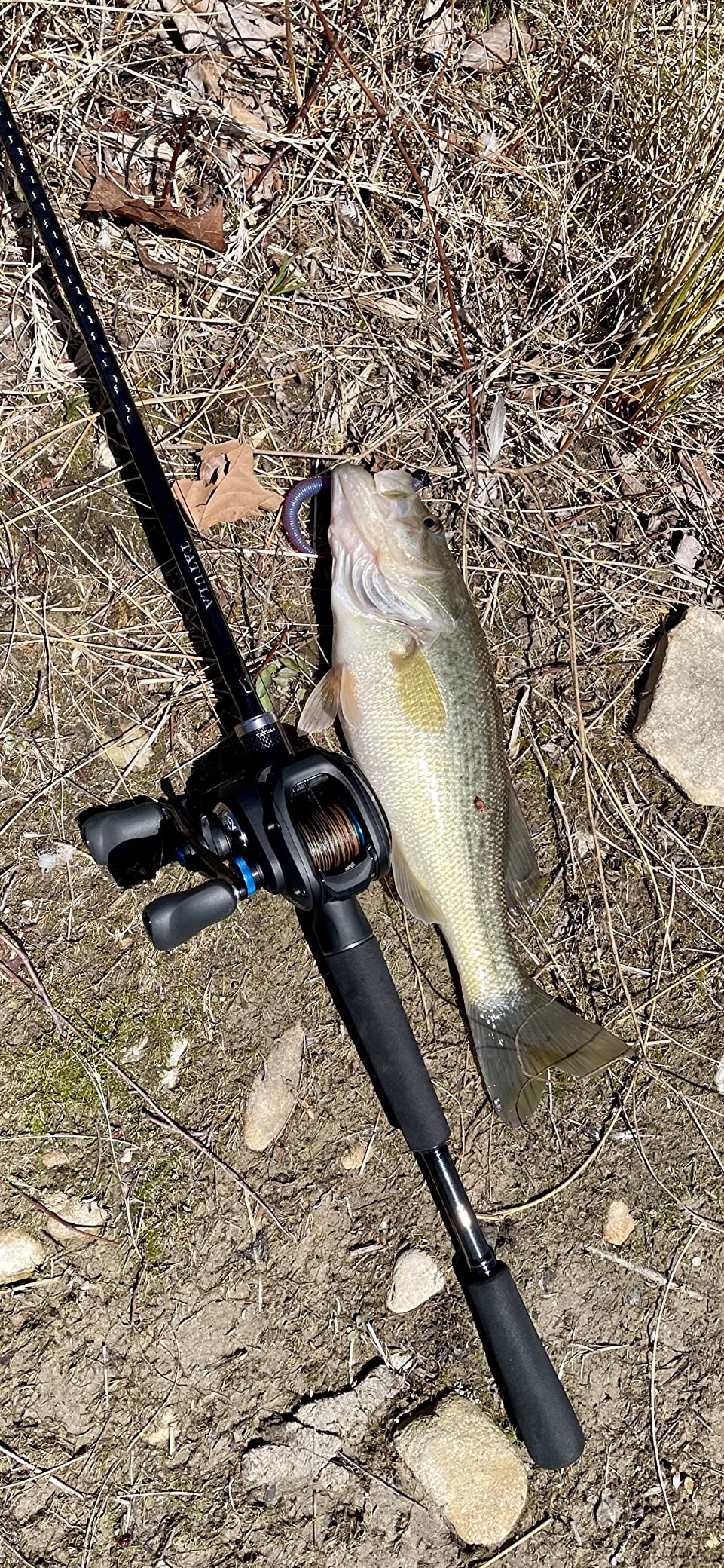 SHIMANO SLX DC Baitcasting Reel customer photo 1