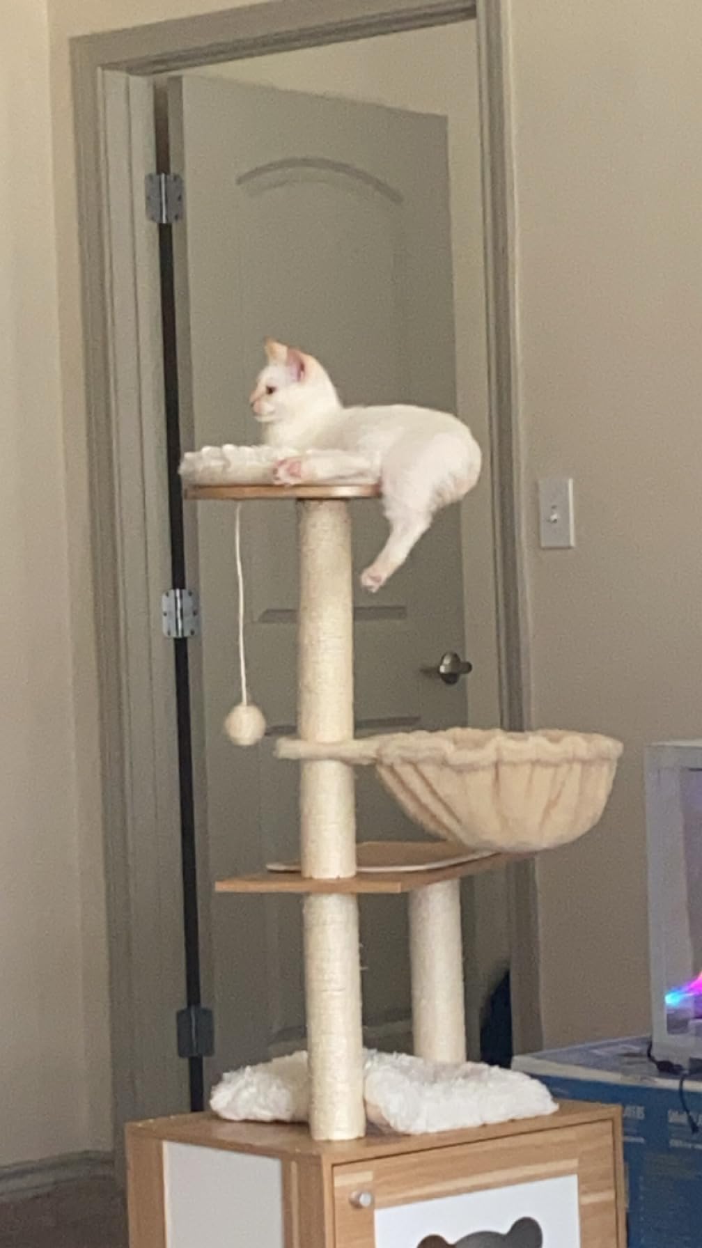 Made4Pets Cat Tree, Modern Cat Tree Tower for Indoor Cats - 65