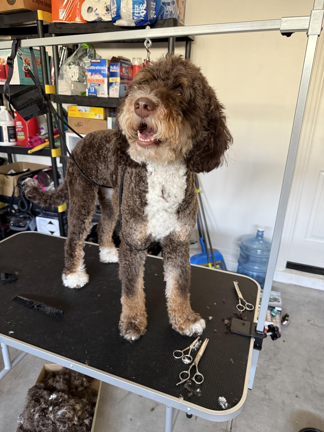 Yaheetech 46'' Pet Grooming Table for Large Dogs, Adjustable Height Portable Trimming Table Drying Table w/Arm/Noose/Mesh Tray, Max Capacity 265Lb, Black customer photo 2