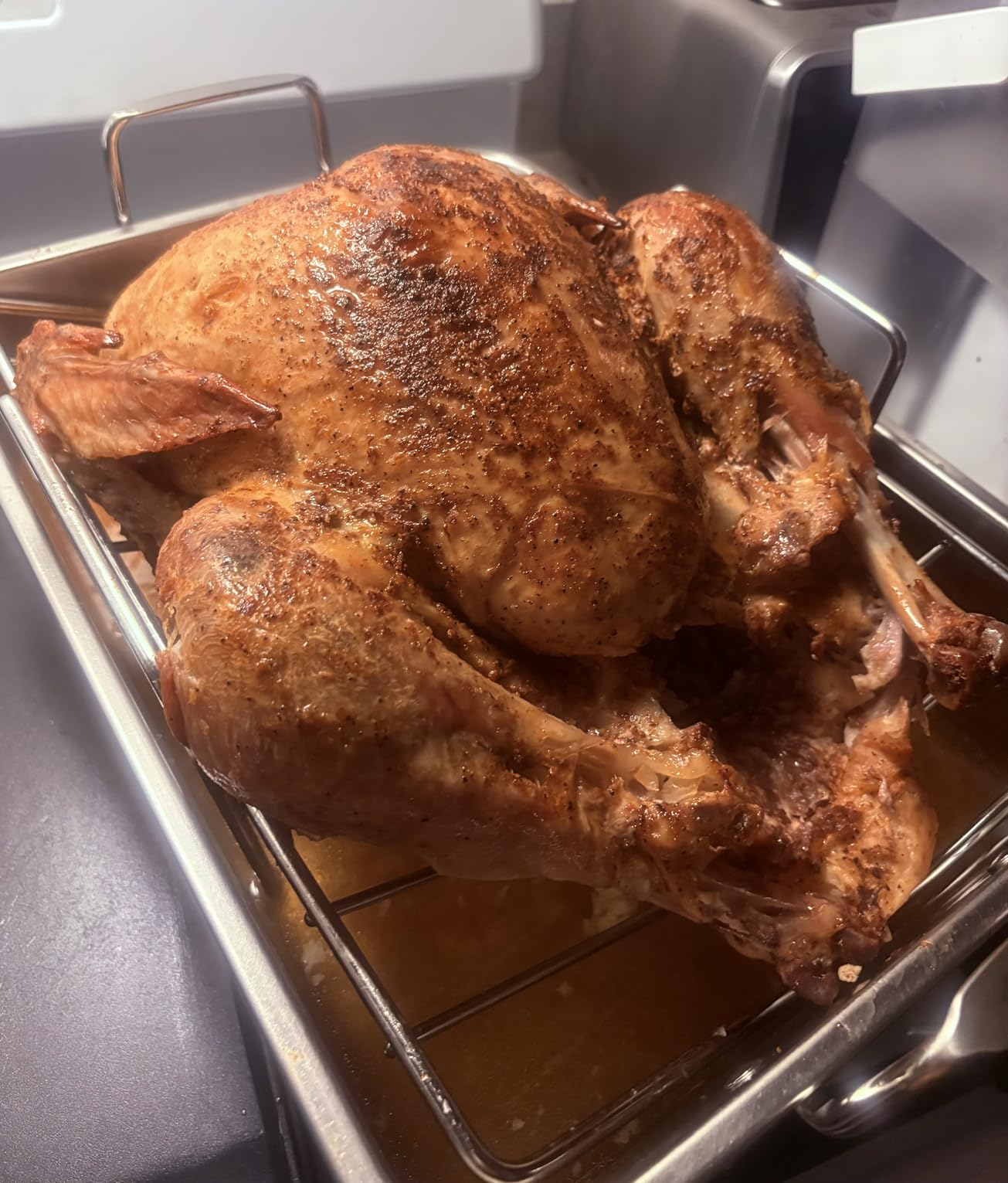 E-far Roasting Pan, 16 x 11.5 Inch Stainless Steel Turkey Roaster with V-shaped & Flat Rack, Heavy Duty Deep Broiling Pan, Dishwasher Safe customer photo 2