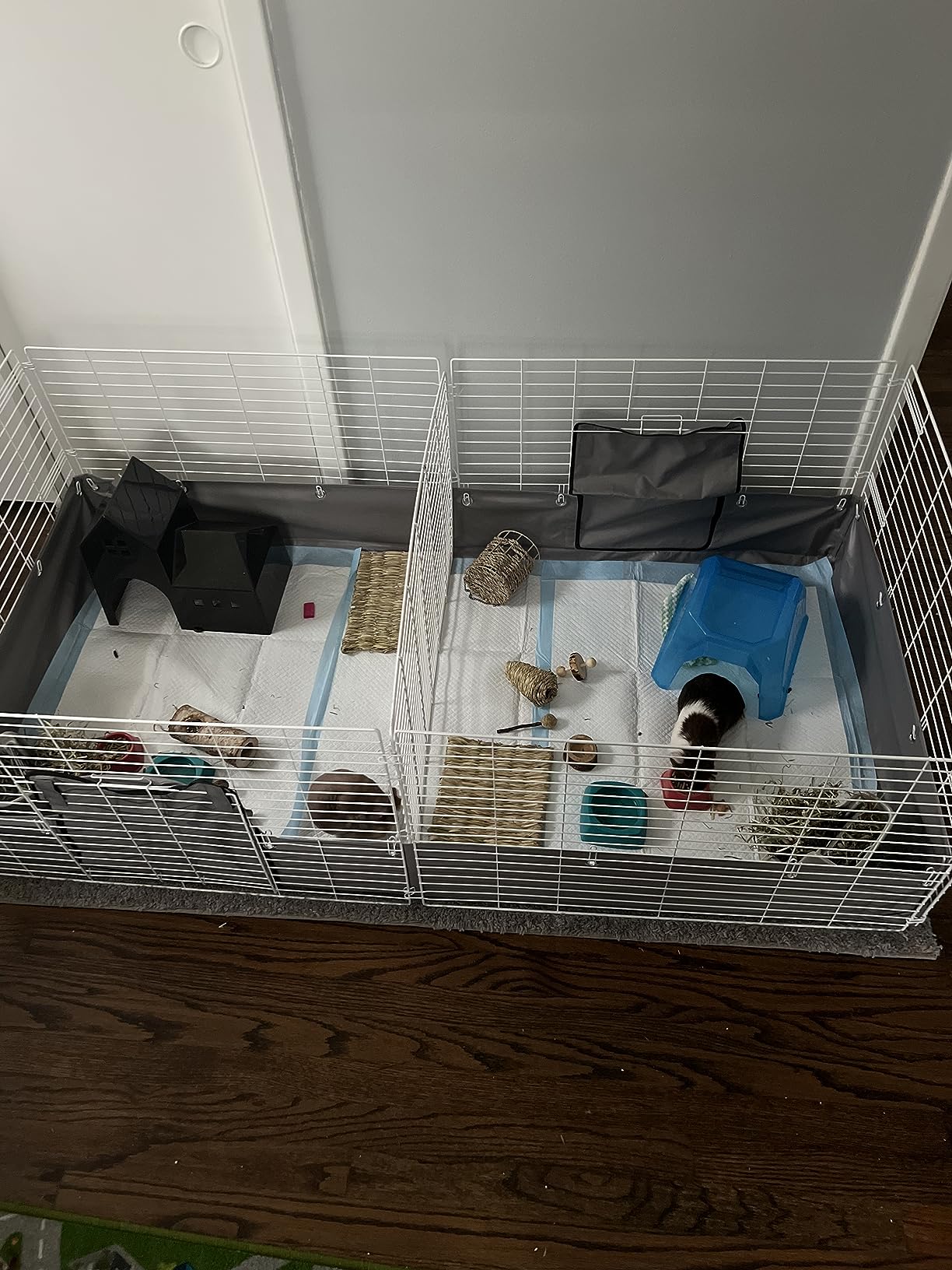 Kaytee Open Living Pet Guinea Pig or Rabbit Habitat, 60 x 30 inches customer photo 2