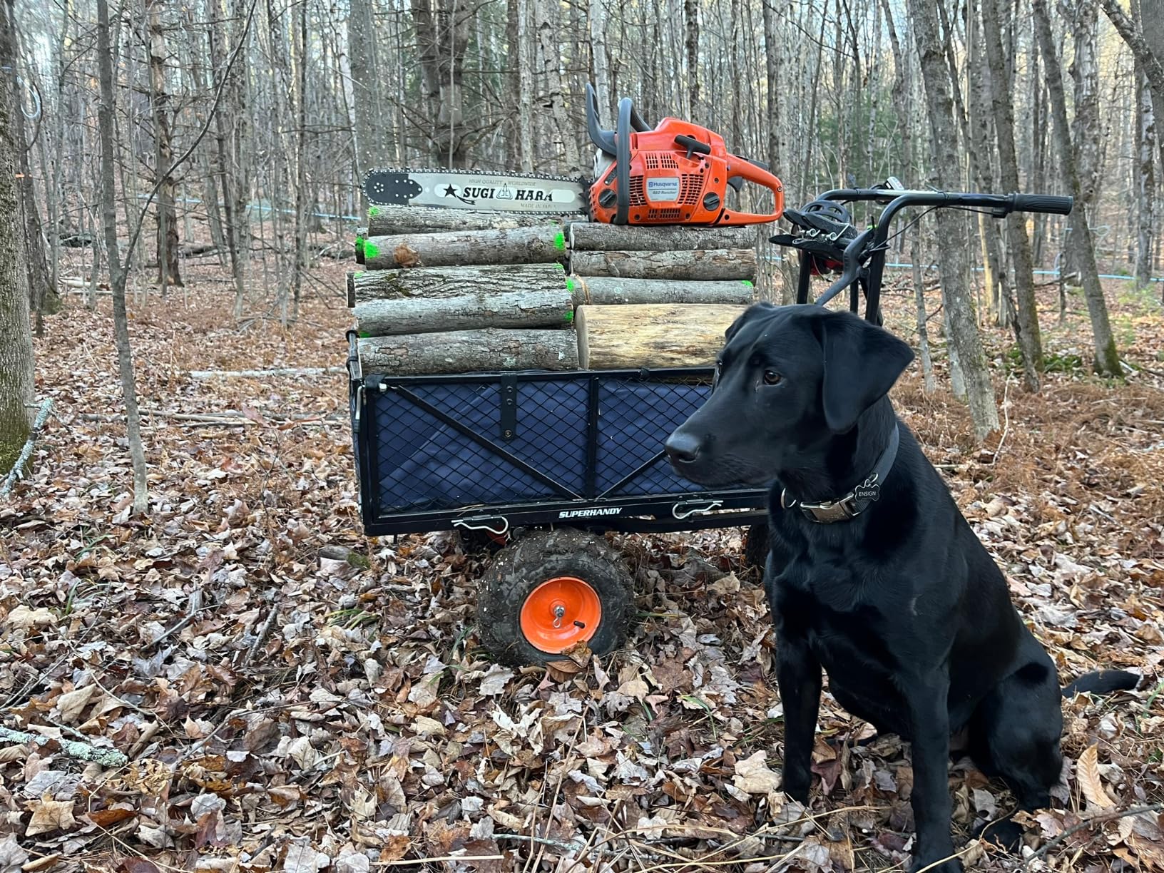 SuperHandy Utility Service Cart Power Wagon Wheelbarrow Electric 48V DC Li-Ion Powered 660Lbs Load and 1000Lbs+ Hauling Capacity Farm and Garden All Purpose Modular Cargo Bed customer photo 2