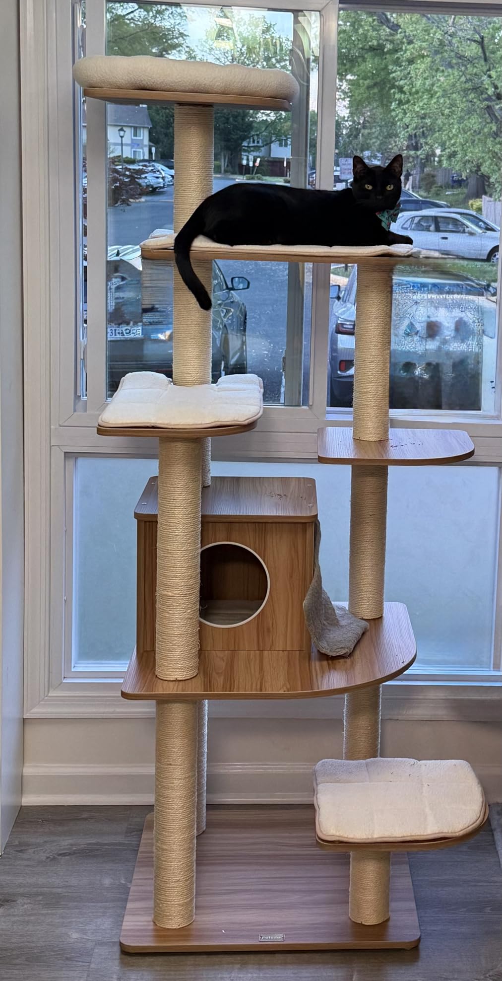 Tangkula Tall Cat Tree, 69-Inch Modern Cat Tower with Sisal Rope Scratching Posts, Wood Cat Tree with Multi-Layer Platform, Cat Condo Furniture with Washable Cushions for Indoor Cats Large Adult customer photo 1