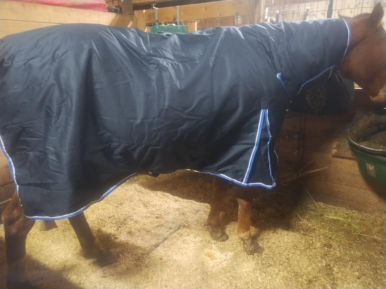 HORZE Glasgow Medium Weight Waterproof Combo Turnout Winter Horse Blanket with Neck Cover (150g Fill) - Dark Blue - 78 in customer photo 1
