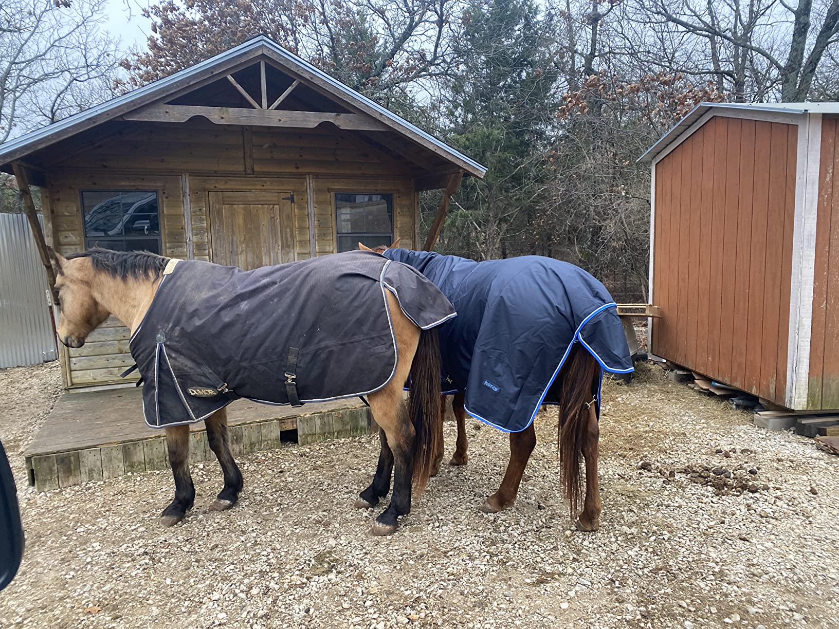 HORZE Glasgow Medium Weight Waterproof Combo Turnout Winter Horse Blanket with Neck Cover (150g Fill) - Dark Blue - 78 in customer photo 2