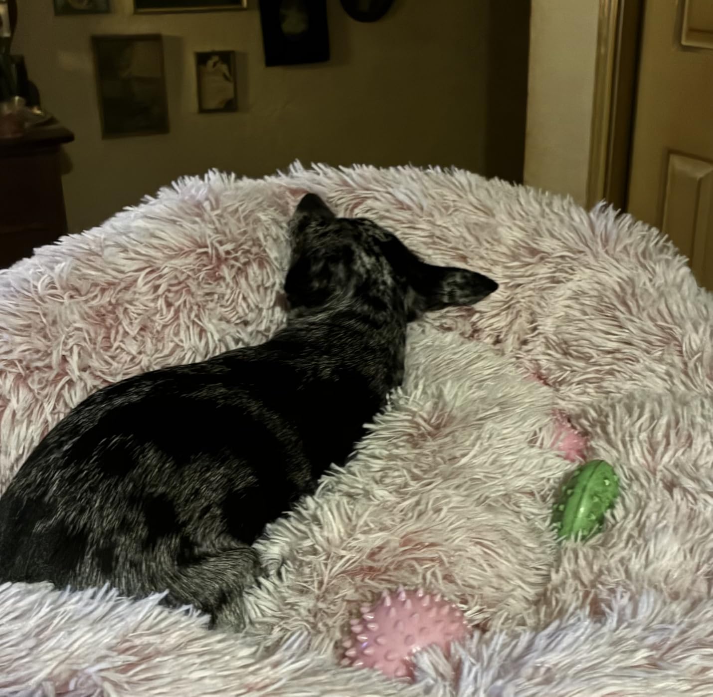 WESTERN HOME WH Calming Dog & Cat Donut Cuddler, Anti-Anxiety Warming Cozy Soft Round Bed, Fluffy Faux Fur Plush Cushion for Small Medium Dogs and Cats (20