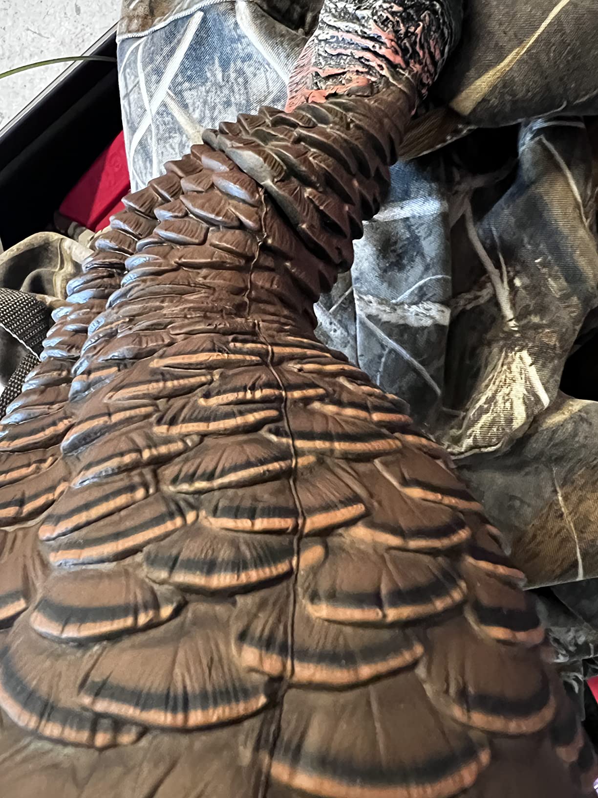 Avian-X HDR Feeding Hen Turkey Decoy | Durable Realistic Lifelike Standing Hunting Decoy with Carry Bag & Integrated Stake customer photo 1
