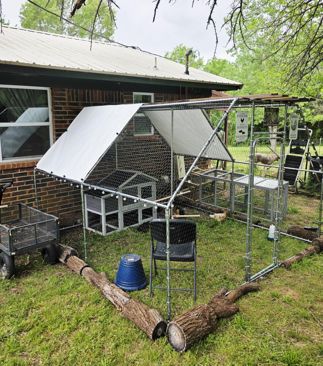 Chicken Coop Large Metal Chicken House/Pen with Climbing Frame for 15-20 Chickens, Outdoor Walk-in Poultry Cage Flat Shape for Ducks, Rabbits, Dogs Etc, 236