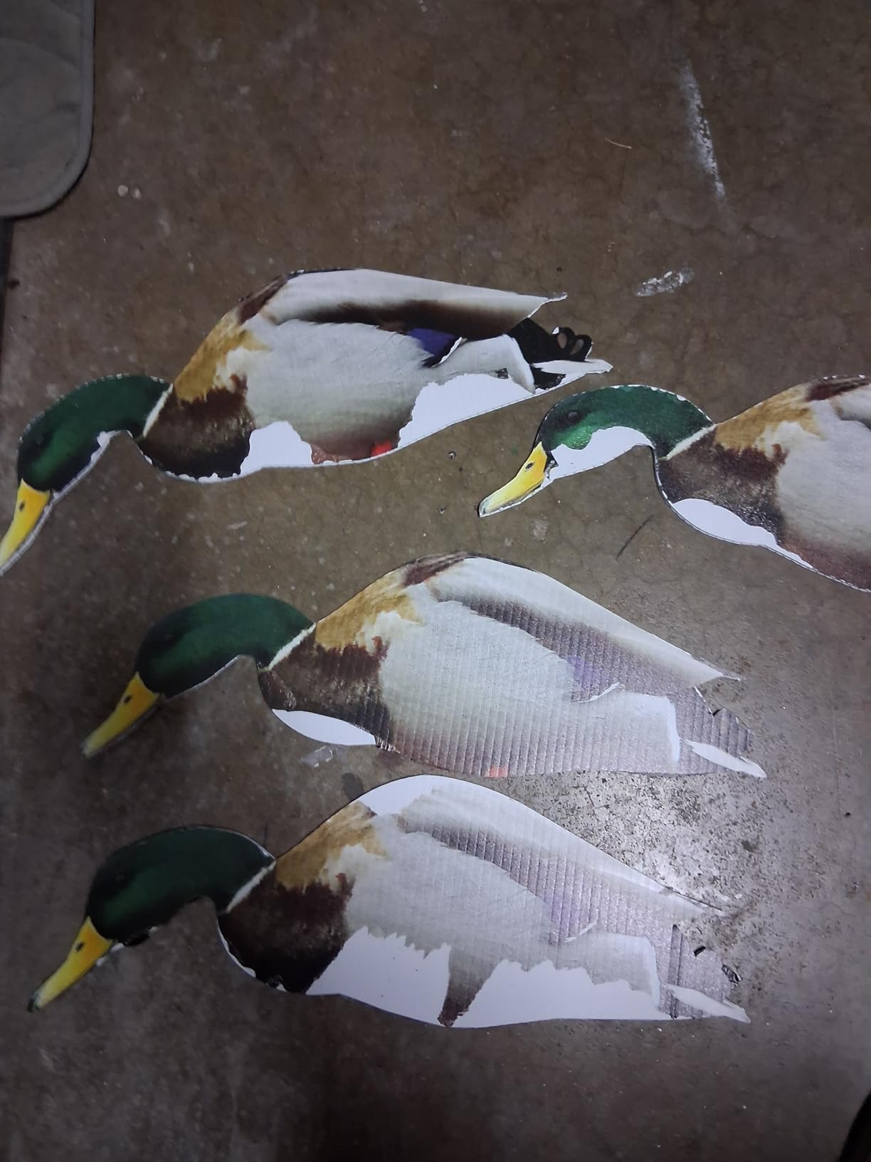 TCDesignerProducts 2D Wildlife Silhouette Decoys customer photo 2