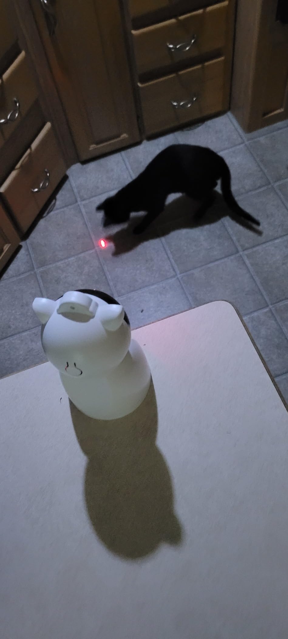 Valonii Cat Toys [2025 Newly Upgraded] Real Random Trajectory Rechargeable Motion Activated Cat Laser Toy Automatic, Interactive Cat Toys for Indoor Cats/Kitten/Dogs customer photo 1