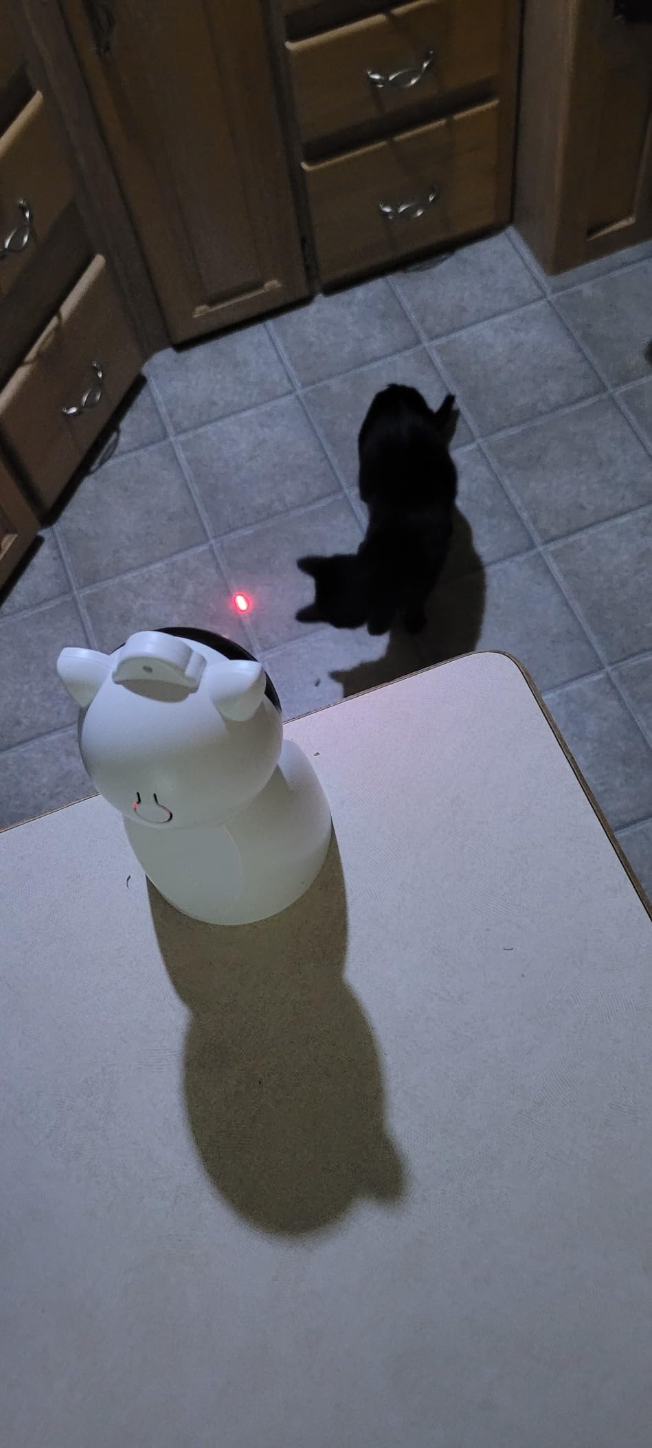 Valonii Cat Toys [2025 Newly Upgraded] Real Random Trajectory Rechargeable Motion Activated Cat Laser Toy Automatic, Interactive Cat Toys for Indoor Cats/Kitten/Dogs customer photo 2