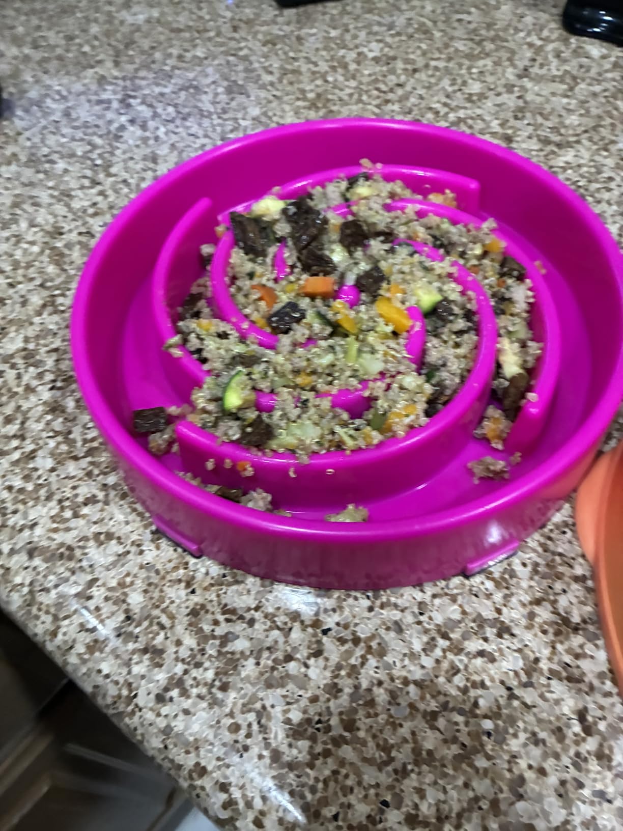 JASGOOD Slow Feeder Dogs Bowl for Large Medium Dogs, Anti-Gulping Pet Slower Food Feeding Bowls Stop Bloat, Preventing Choking customer photo 1