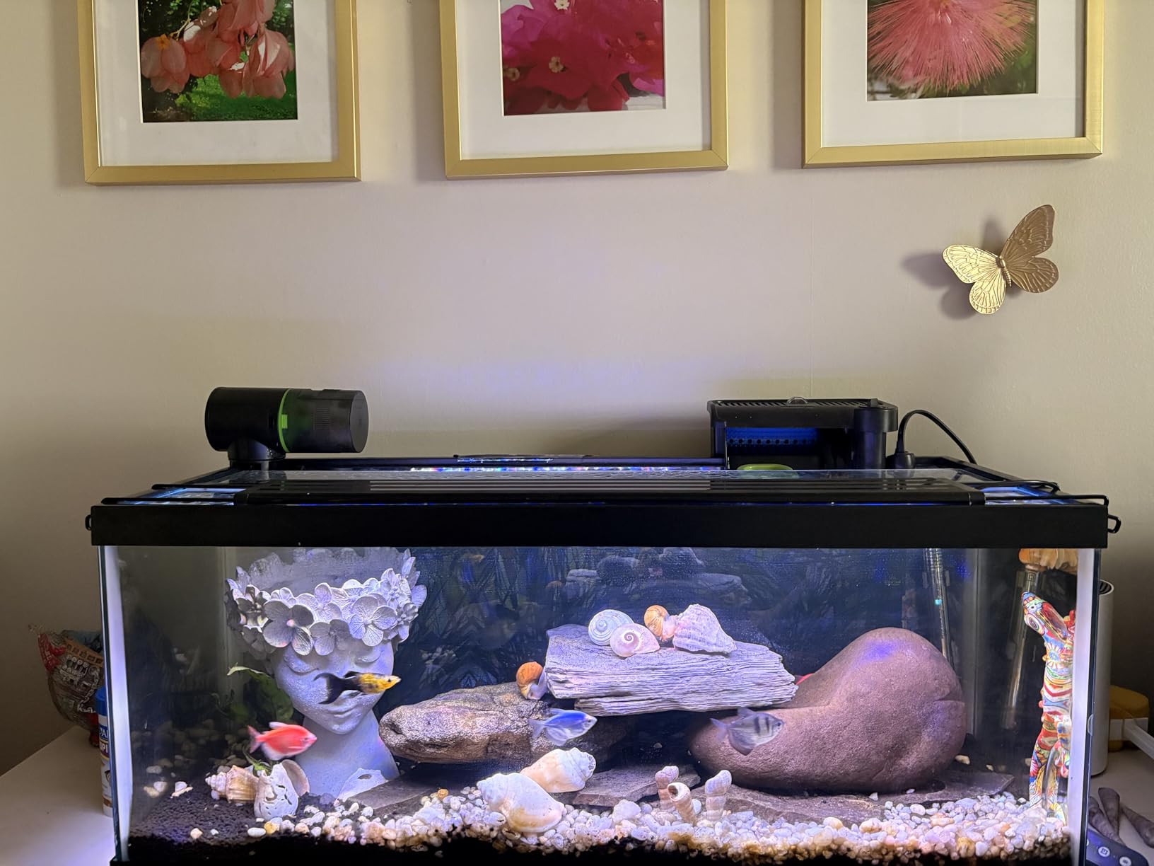 Freesea Automatic Fish Feeder for Aquarium: 3 Timers & One-Touch Easy Setup - 7-14 Day Supply with 200ML Food Dispenser - Worry-Free Vacation Feeding for Betta Turtle Tank customer photo 2