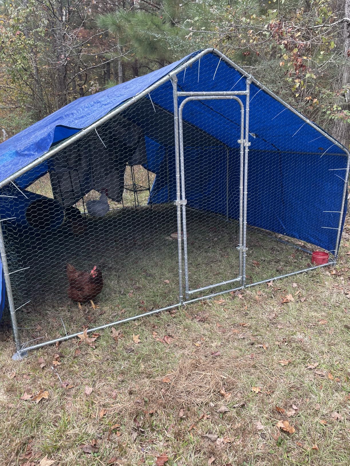 BOSSIN Large Metal Chicken Coop Bold Chicken Pen Outdoor, Poultry Cage Spire Shape, Heavy Duty Walk-in for Yard with Waterproof and Anti-UV Cover customer photo 2