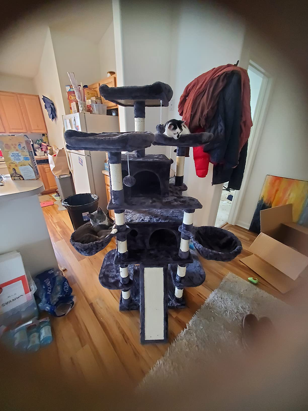 IMUsee 68 Inches Multi-Level Large Cat Tree for Large Kitties/Big Cat Tower with Condo/Cozy Plush Perches/Sisal Scratching Posts and Hammocks/Feline Activity Center Play House/Grey customer photo 2