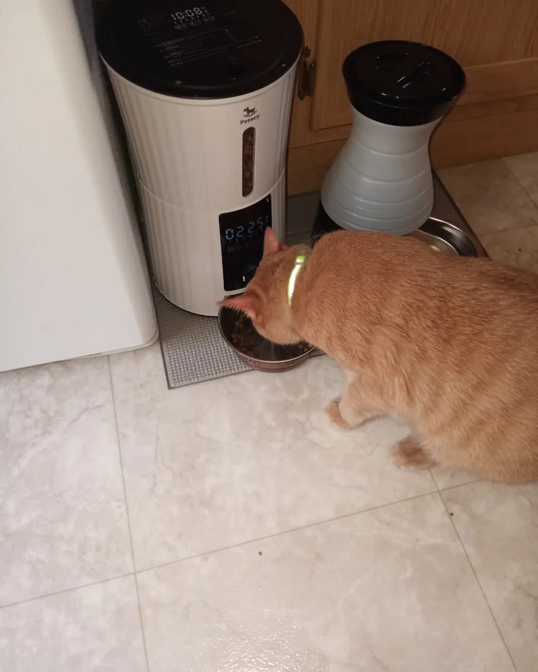 Petory Timed Automatic Cat Feeders - 4L Programable Dry Food Dispenser for Cats and Small Medium Dogs 6 Meals with Desiccant Bag Dual Power Supply 10S Voice Recorder customer photo 1