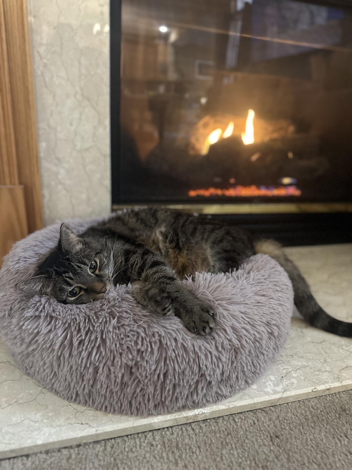 Whiskers & Friends Cat Beds for Indoor Cats, Fluffy Calming Donut Cat Bed, Small Dog Bed Washable - Orthopedic Soft Plush Pet Beds Sized for Kitten to Large Cats & Puppy to Small Dogs - Navy Grey 20'' customer photo 1