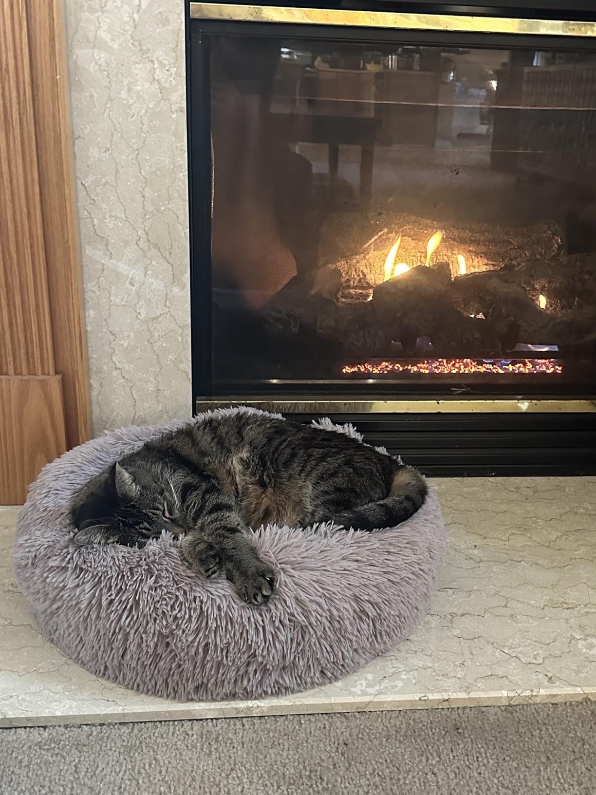 Whiskers & Friends Cat Beds for Indoor Cats, Fluffy Calming Donut Cat Bed, Small Dog Bed Washable - Orthopedic Soft Plush Pet Beds Sized for Kitten to Large Cats & Puppy to Small Dogs - Navy Grey 20'' customer photo 2