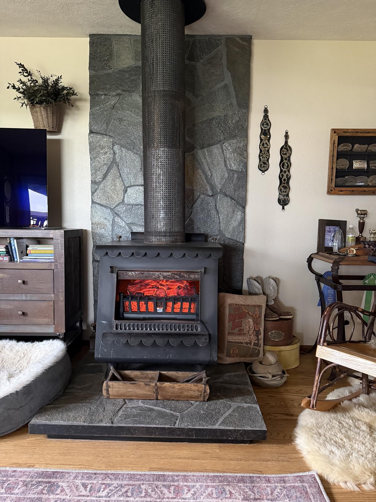 Electric Fireplace Logs Inserts Heater with Infrared Remote Controller 5 Flame Brightness 24 H Timer Overheating Protection for Home and Office Decor Black customer photo 2
