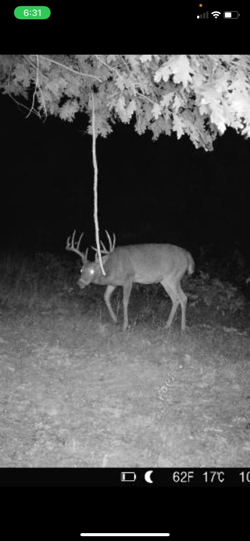 TACTACAM Reveal X PRO Cellular Trail Camera - Verizon and AT&T, NO Glow, Integrated GPS Tracking, Built in LCD Screen, HD Photo and HD Video customer photo 1