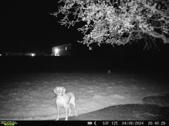 TACTACAM Reveal X PRO Cellular Trail Camera - Verizon and AT&T, NO Glow, Integrated GPS Tracking, Built in LCD Screen, HD Photo and HD Video customer photo 2