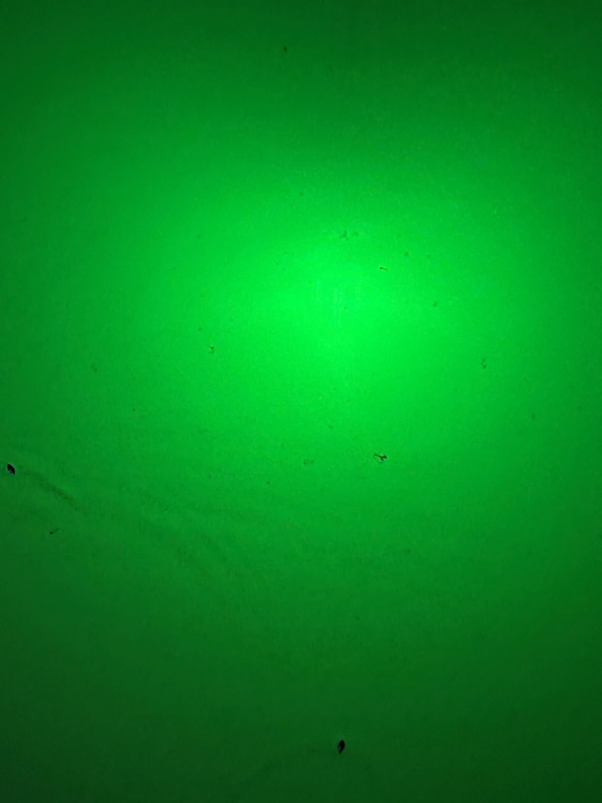 Underwater Fishing Light, 110V & 12V Super Bright Green LED Submersible Light Attractants for Docks, Boats or Kayaks, IP68 Rated for Fresh & Salt Water (30ft Cable) customer photo 2
