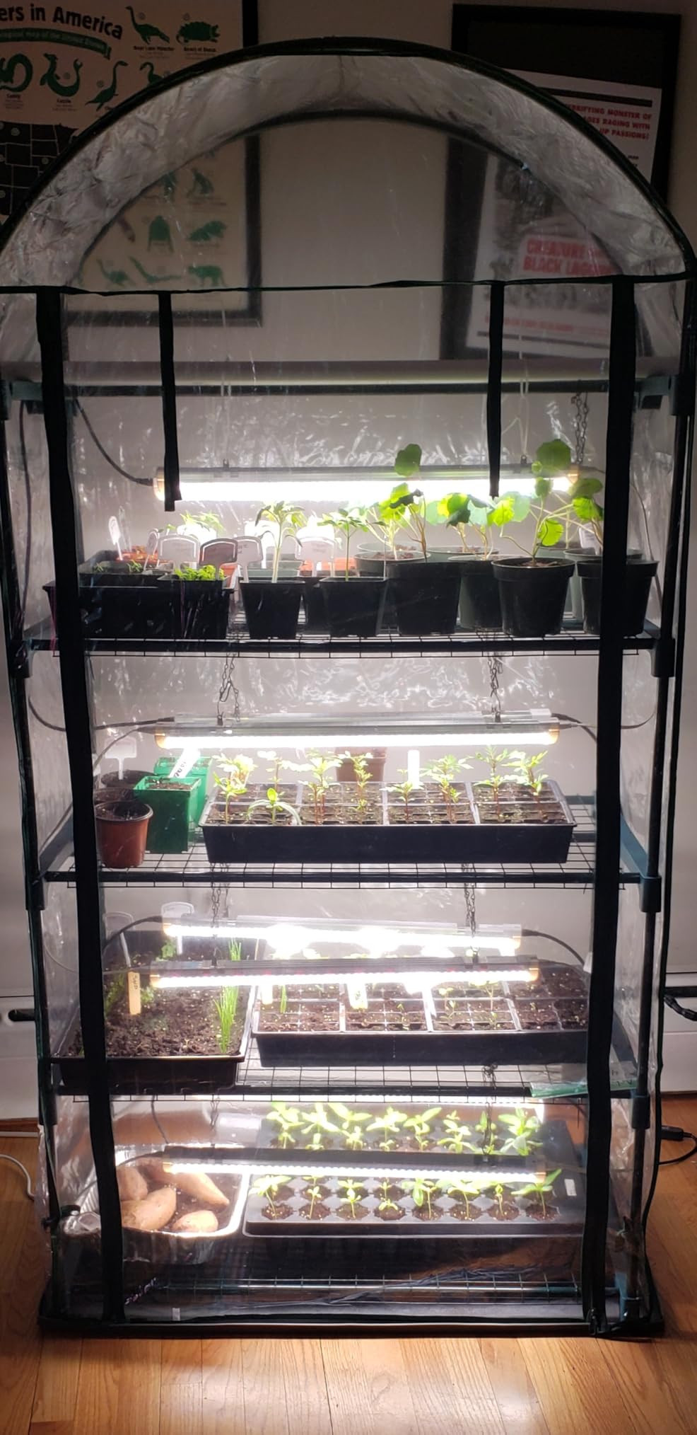 Bstrip Indoor Greenhouse with Grow Lights, 4 Tier 27.2
