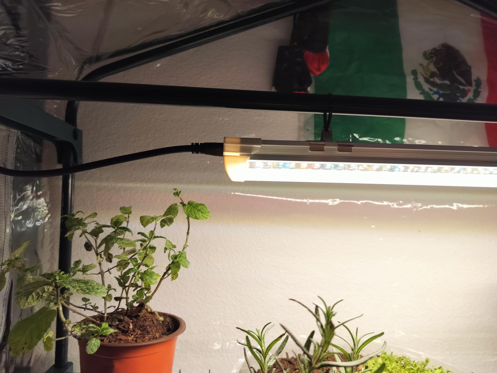 Bstrip Indoor Greenhouse with Grow Lights, 4 Tier 27.2
