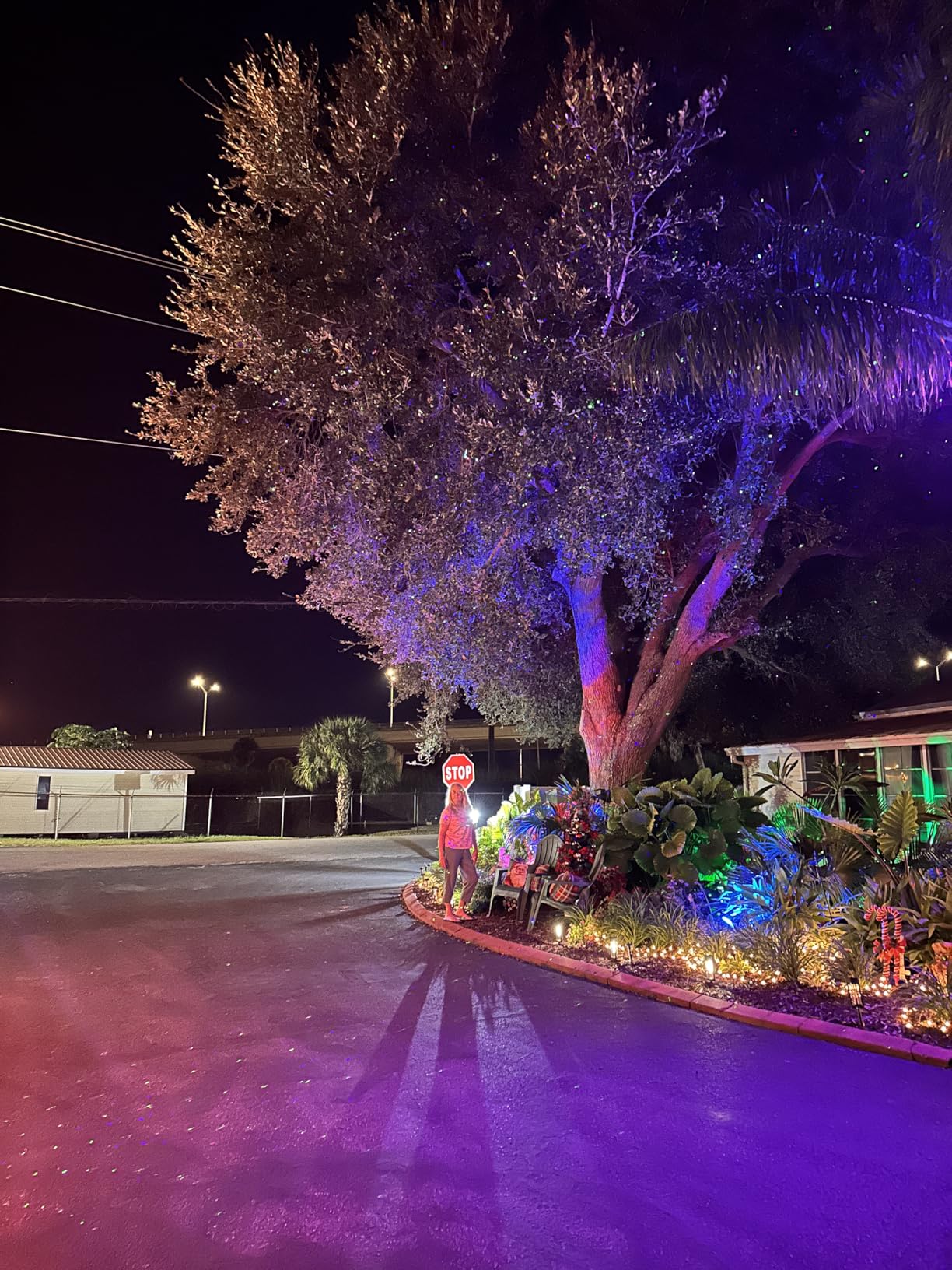 Poeland Garden Lights Moving Laser Christmas Lights Firefly Star Projector for Home and Garden Blue/Green customer photo 1