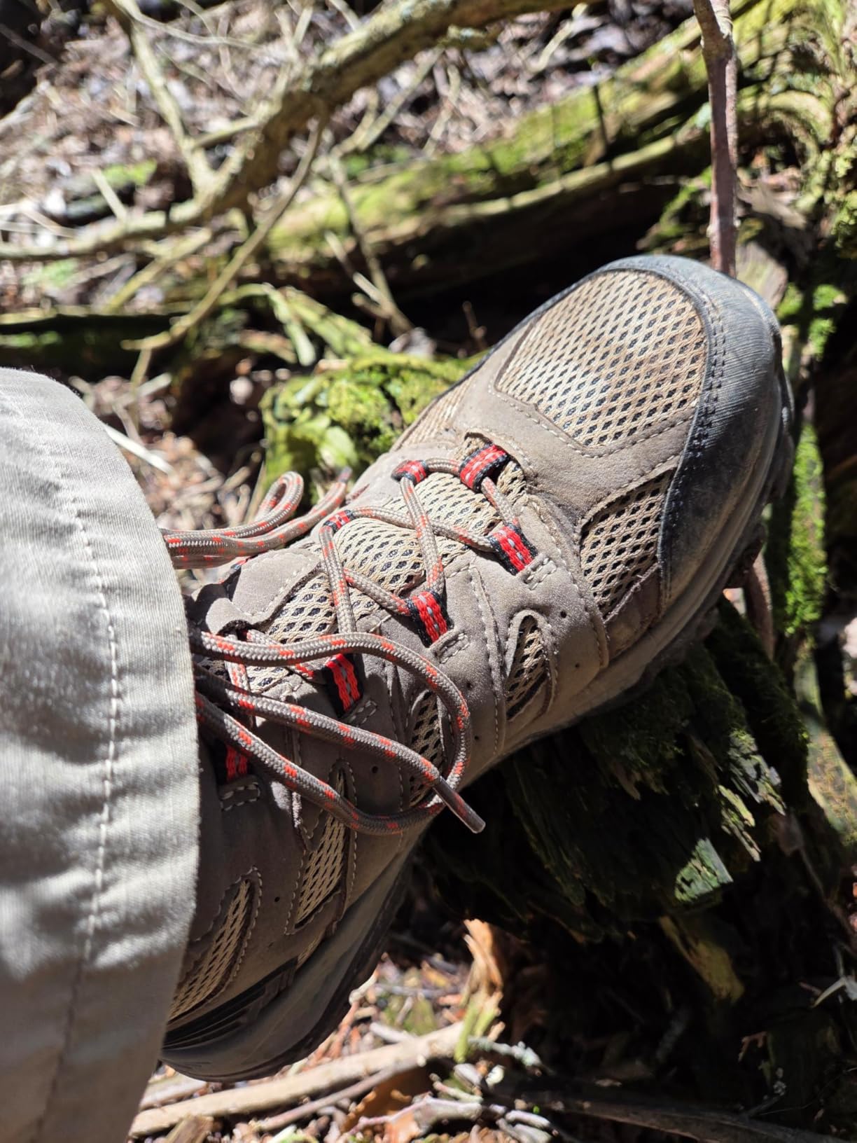 Nortiv 8 Women's Waterproof Hiking Boots Outdoor Trekking Mid Backpacking Boots customer photo 1
