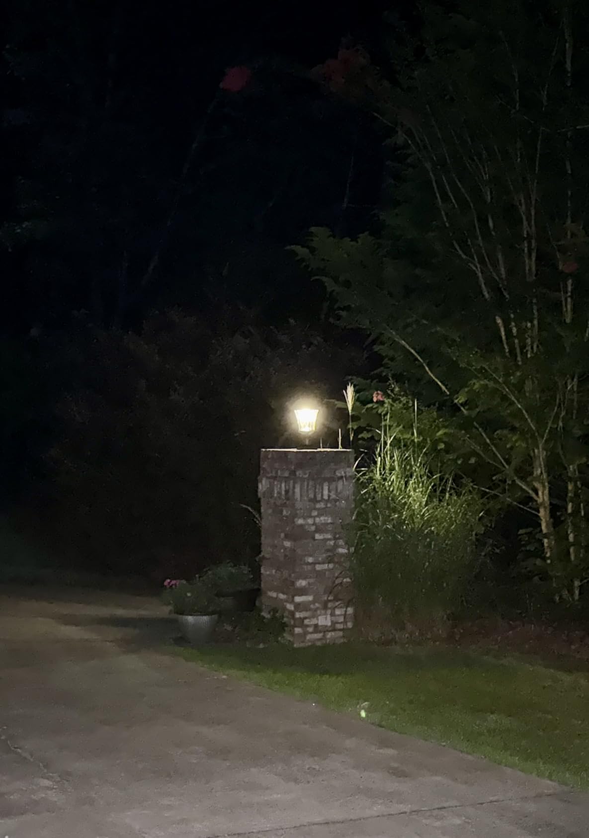 LUTEC Outdoor Solar Lamp Post Light with Pier Mount Base, Dusk to Dawn Waterproof Pole Light Head with Patterned Glass, Exterior Black Solar Powered Fence Post Light Fixtures for Outside customer photo 1