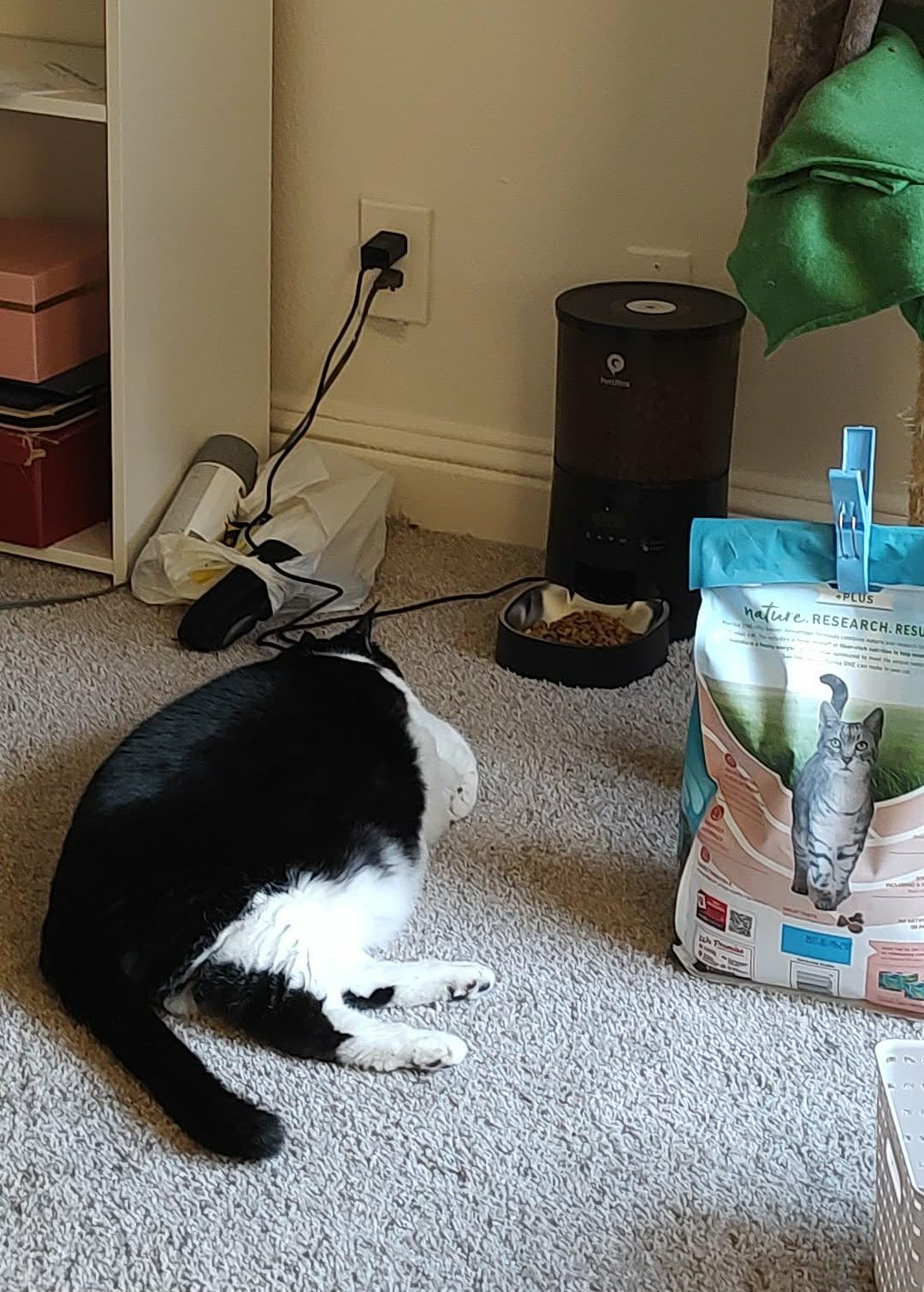 PETULTRA Automatic Cat Feeder: 4L Timed Cats Food Dispenser Programmable 1-6 Meal for Cat and Small Medium Dog- Auto Pet Feeder Easy to Set Up Dual Power Supply with Desiccant Bag| Detachable Washable customer photo 1