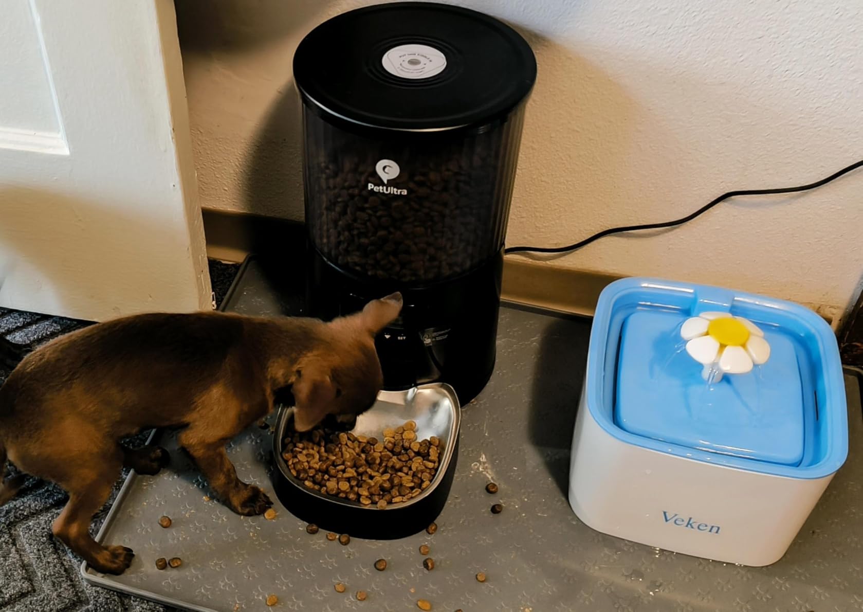 PETULTRA Automatic Cat Feeder: 4L Timed Cats Food Dispenser Programmable 1-6 Meal for Cat and Small Medium Dog- Auto Pet Feeder Easy to Set Up Dual Power Supply with Desiccant Bag| Detachable Washable customer photo 2