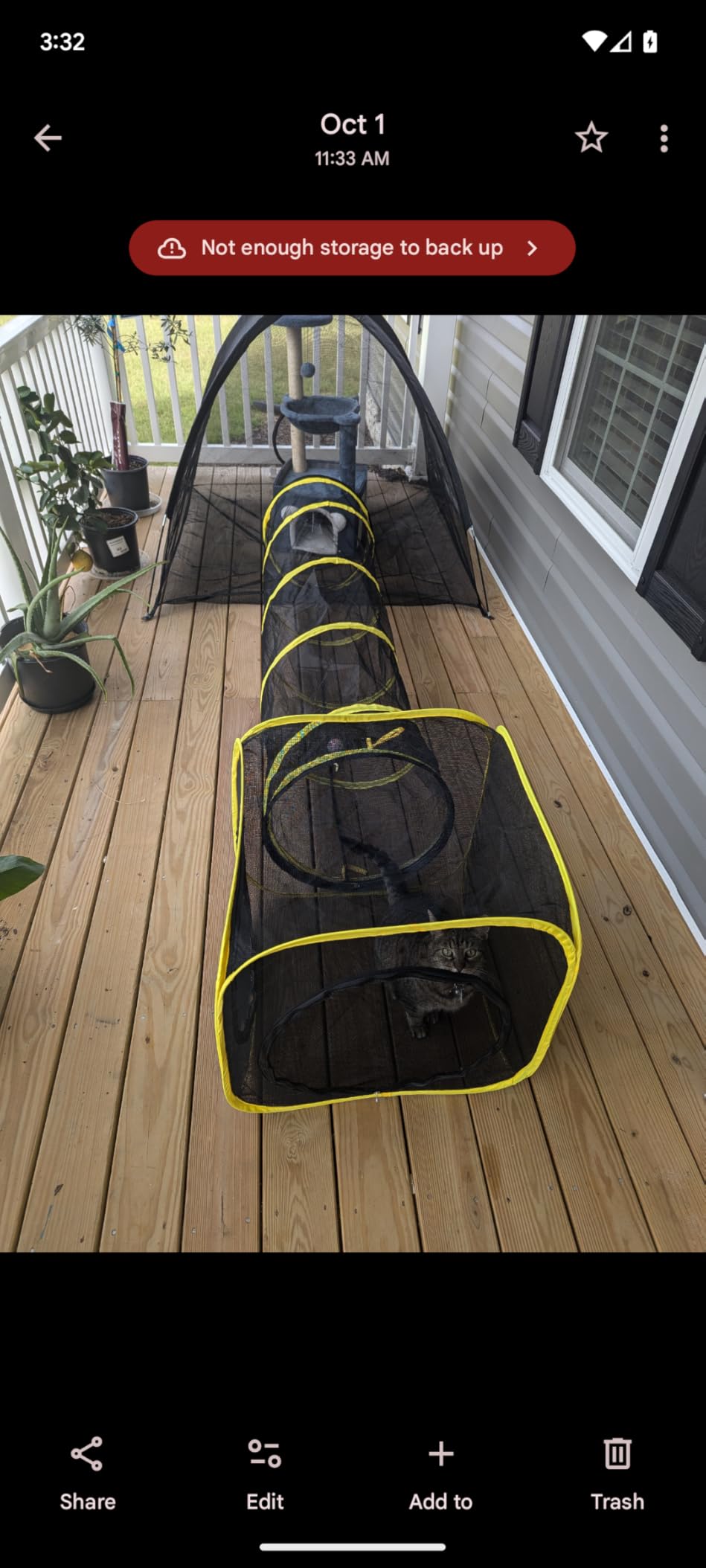 Outdoor Cat Enclosures for Indoor, Portable Mesh Tent, Outdoor pet Tunnel, Cat Playhouse with Adjustable Cat Harness and Leash for Walking, Colorful Tease Ball for Small Animals customer photo 1