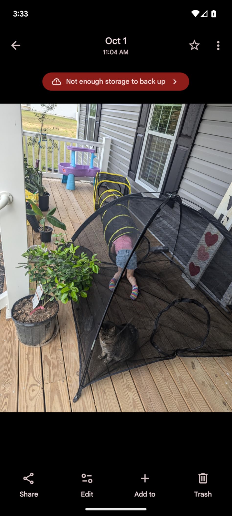 Outdoor Cat Enclosures for Indoor, Portable Mesh Tent, Outdoor pet Tunnel, Cat Playhouse with Adjustable Cat Harness and Leash for Walking, Colorful Tease Ball for Small Animals customer photo 2