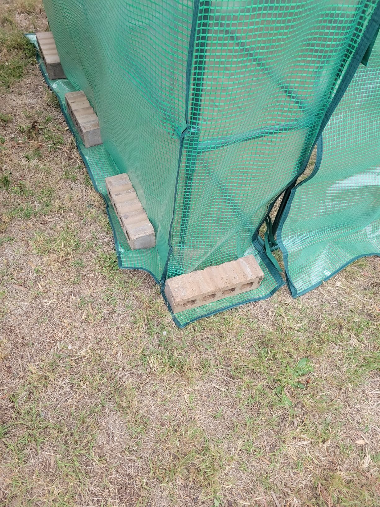 Purlyu Walk-in Greenhouse for Outdoors, Thickened PE Cover & Heavy Duty Powder-Coated Steel, Mesh Door & Screen Windows, 14 Sturdy Shelves 4.7x4.7x6.4 FT, (GHW002G) customer photo 1