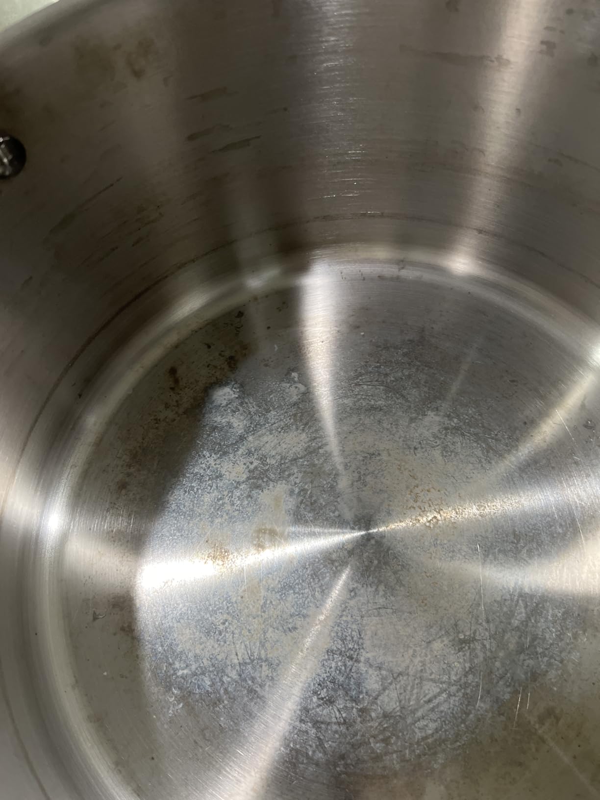 Made In Cookware | 6 Quart Stainless Steel Stock Pot With Lid | 5 Ply Stainless Clad | Professional Cookware | Crafted in Italy | Induction Compatible customer photo 2