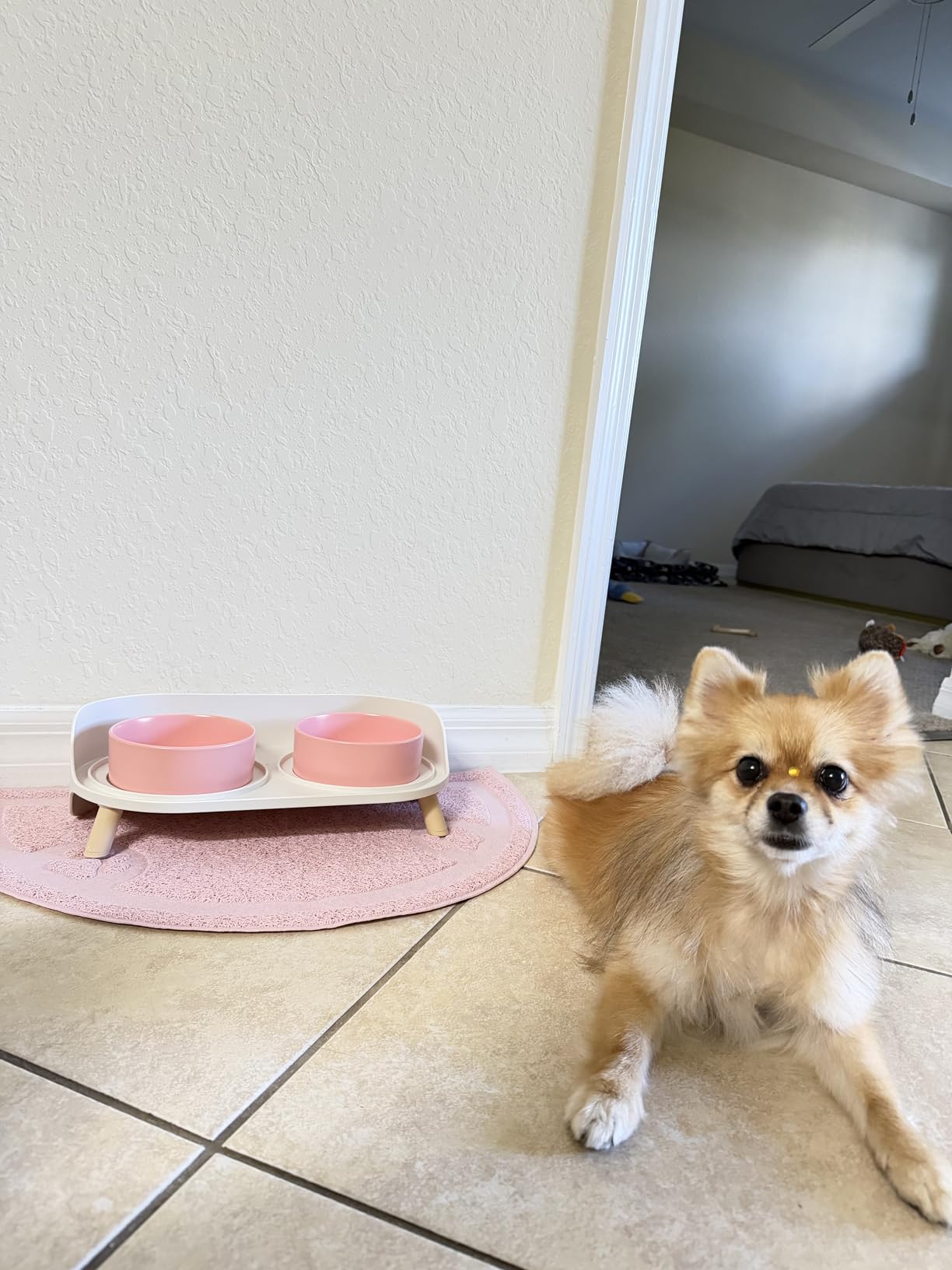 Elevated Ceramic Dog Bowl Set - Double Dog Feeding Bowls with Stand Splash Proof, White customer photo 2